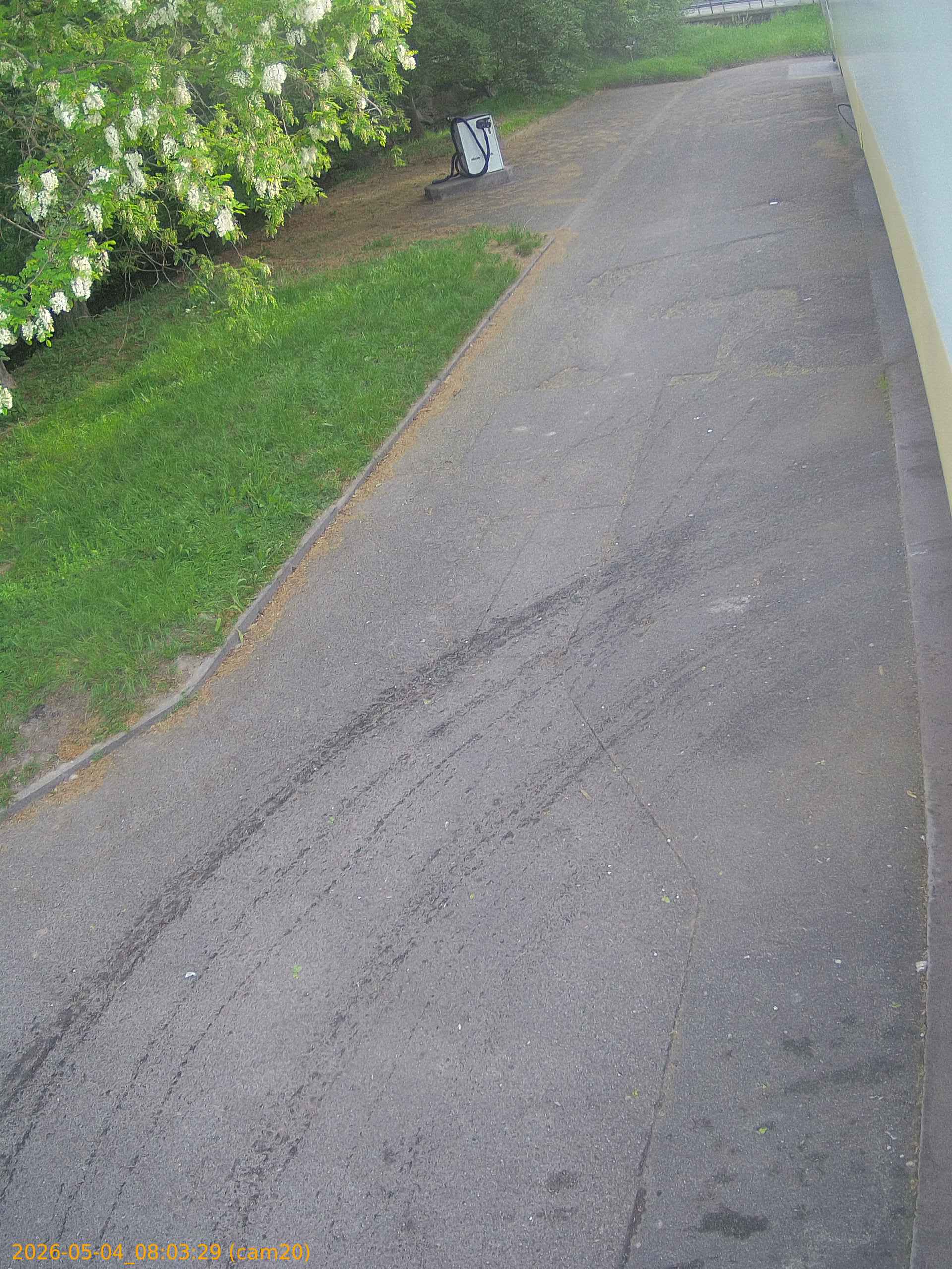 20260504080329