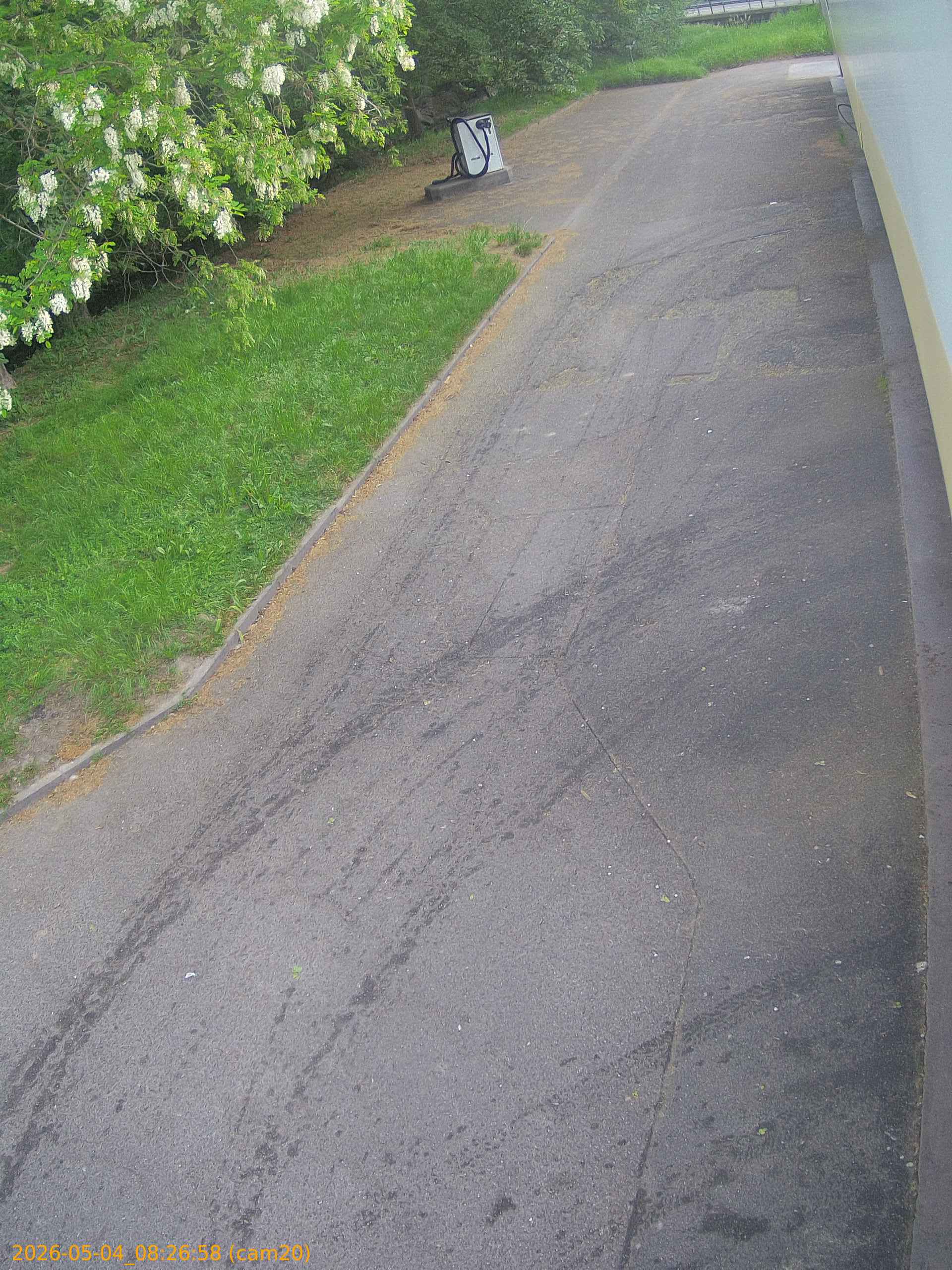20260504082658