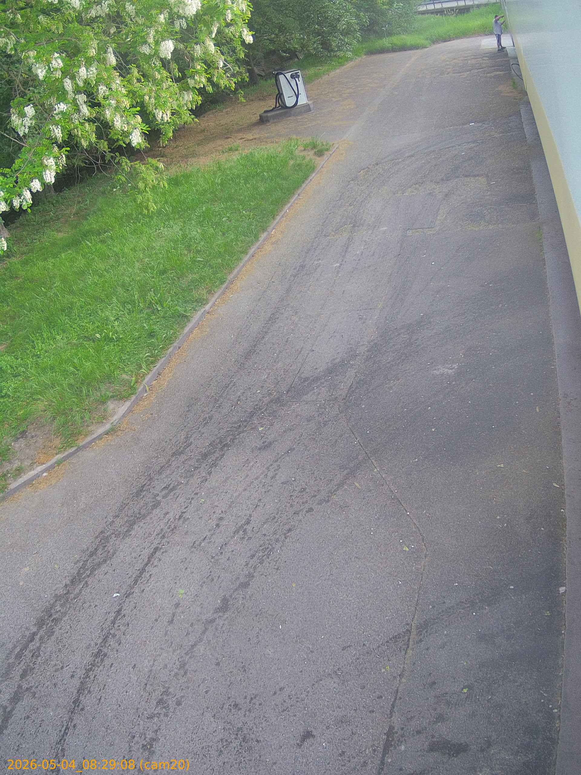 20260504082908
