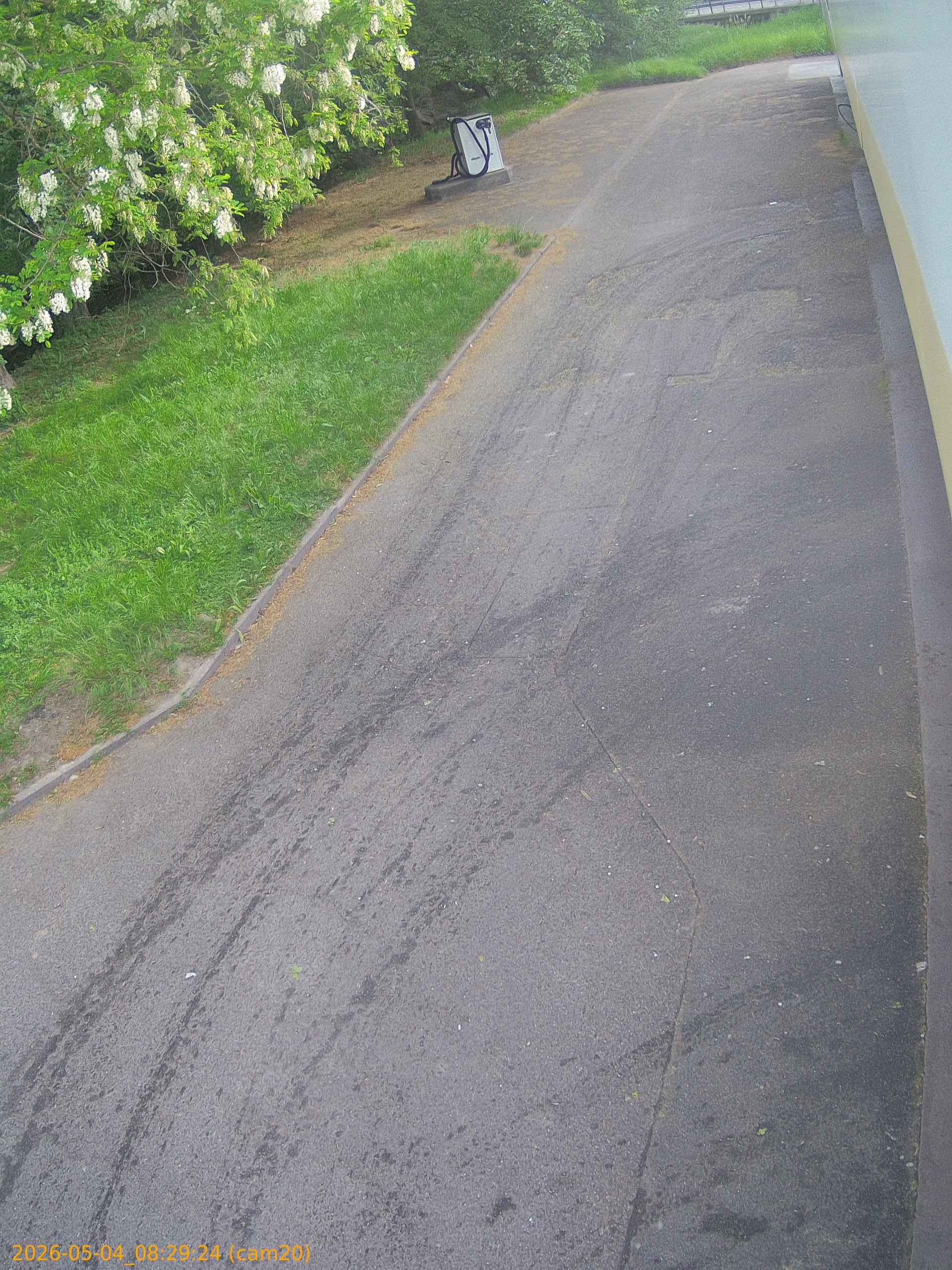 20260504082924