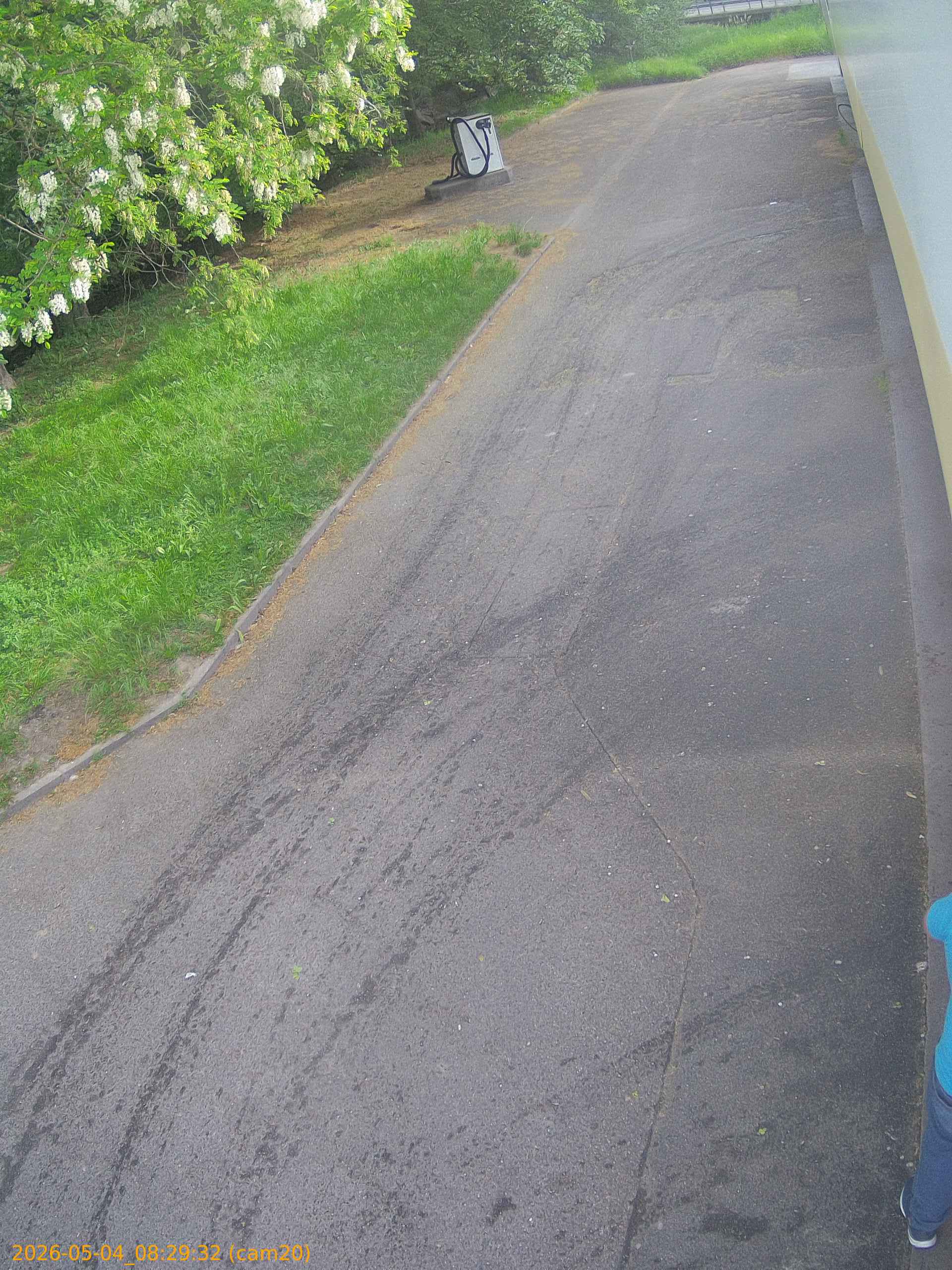 20260504082932