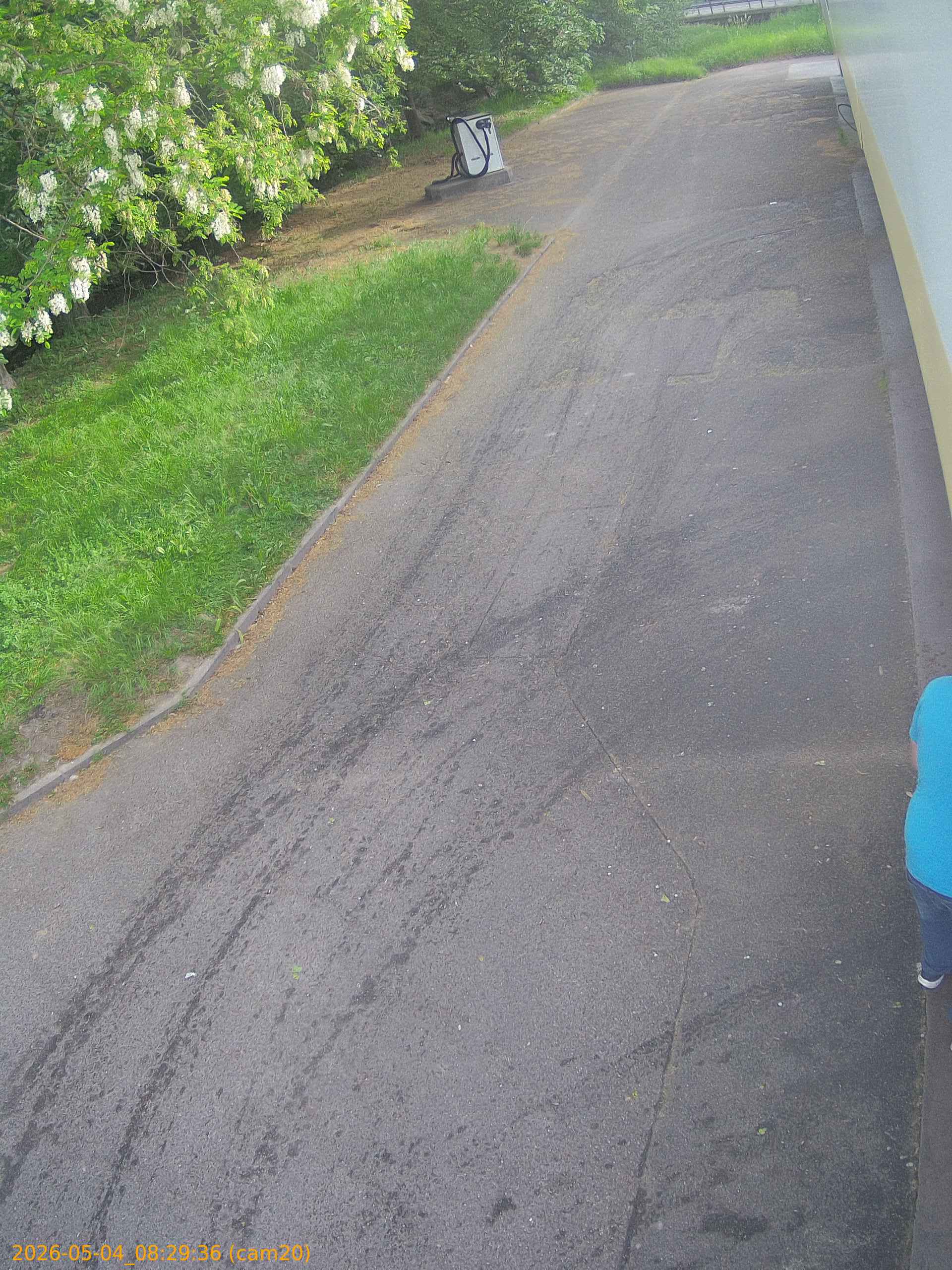 20260504082936