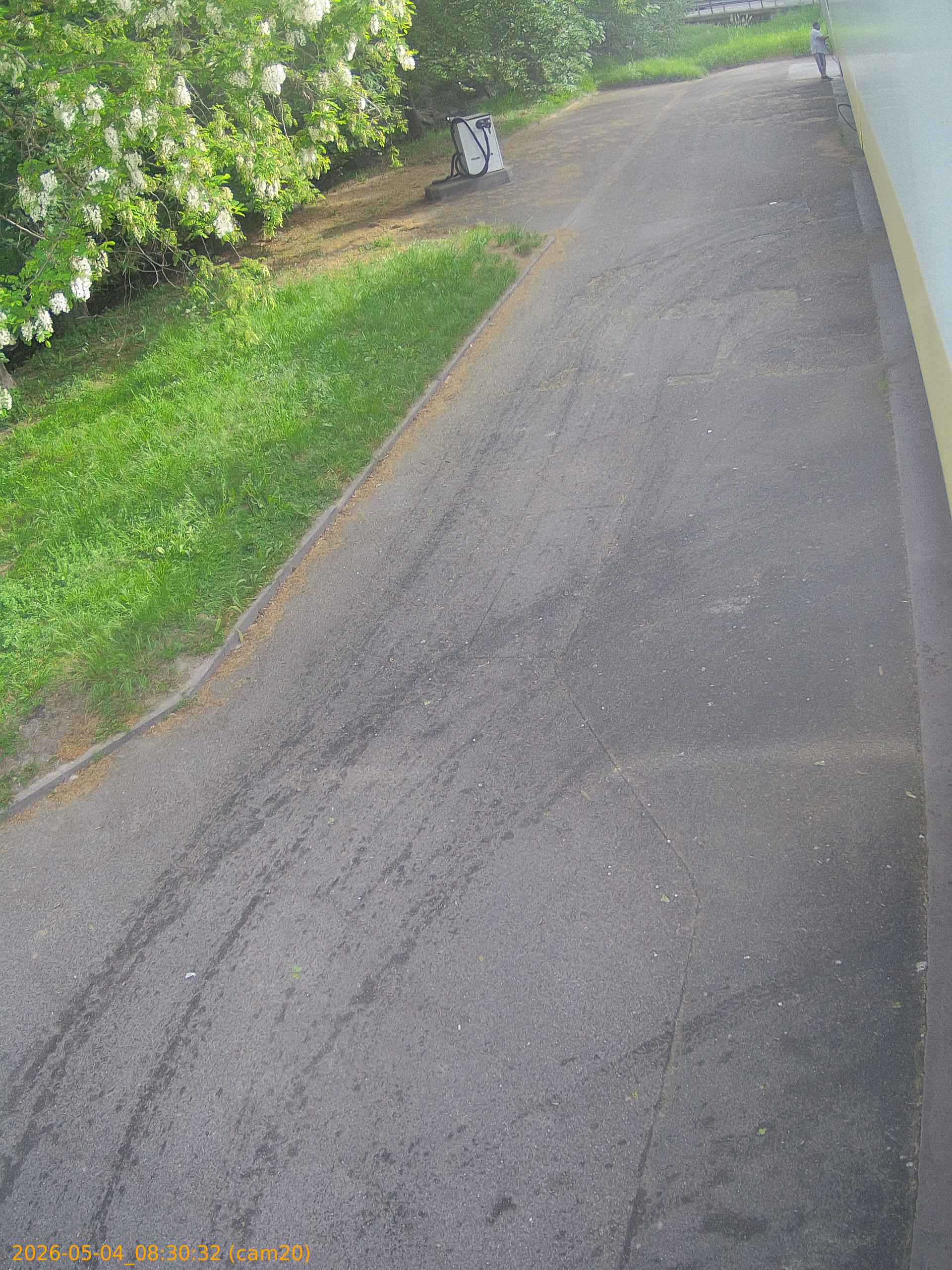 20260504083032