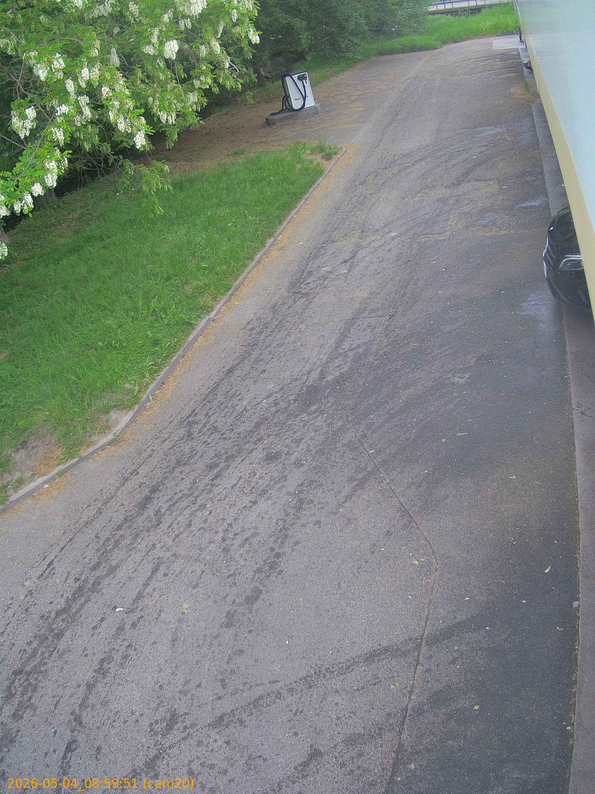 20260504085951