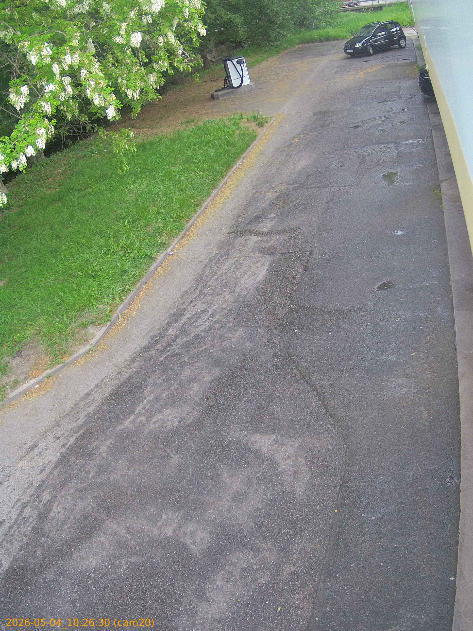 20260504102630