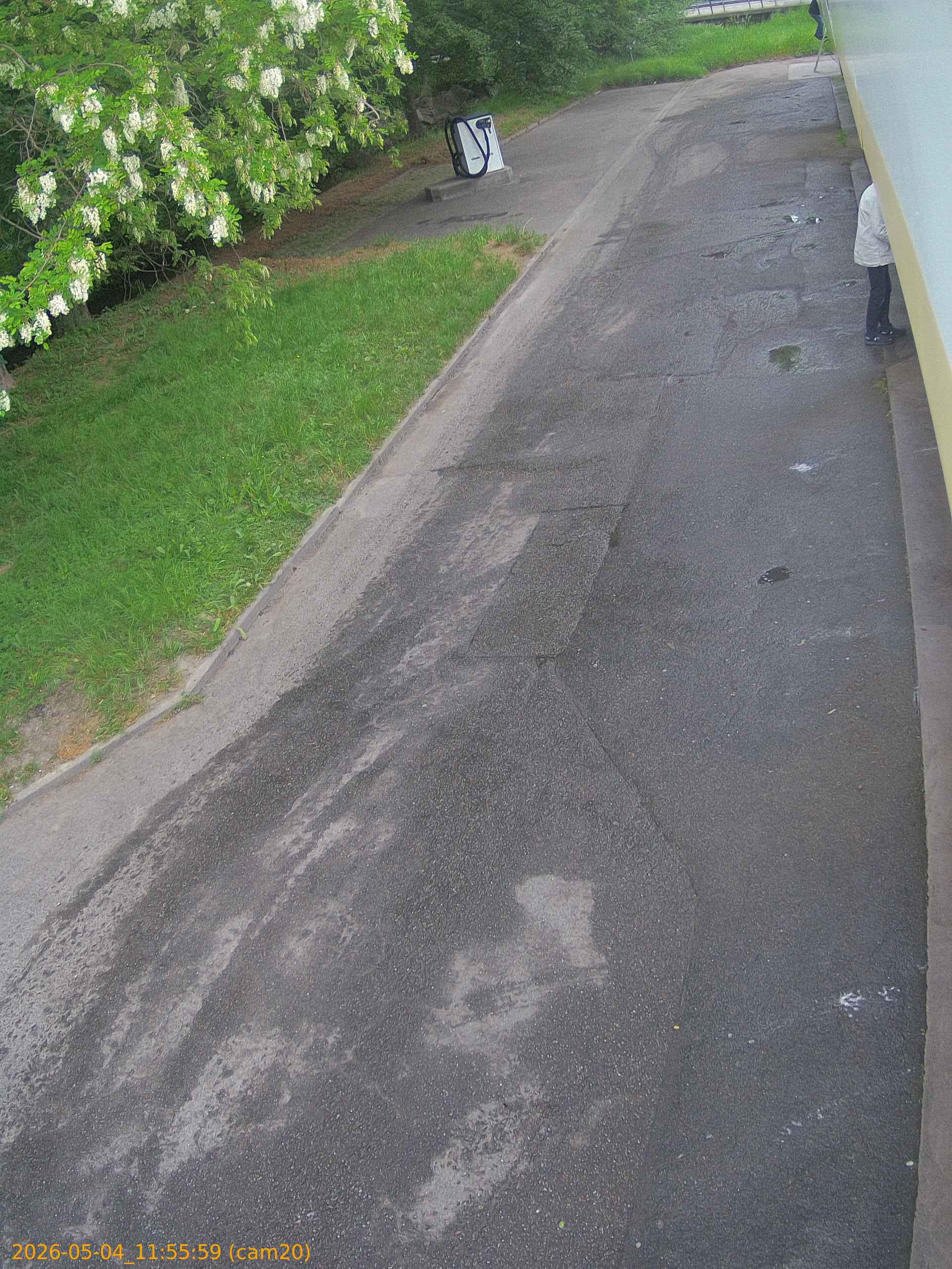 202605041155