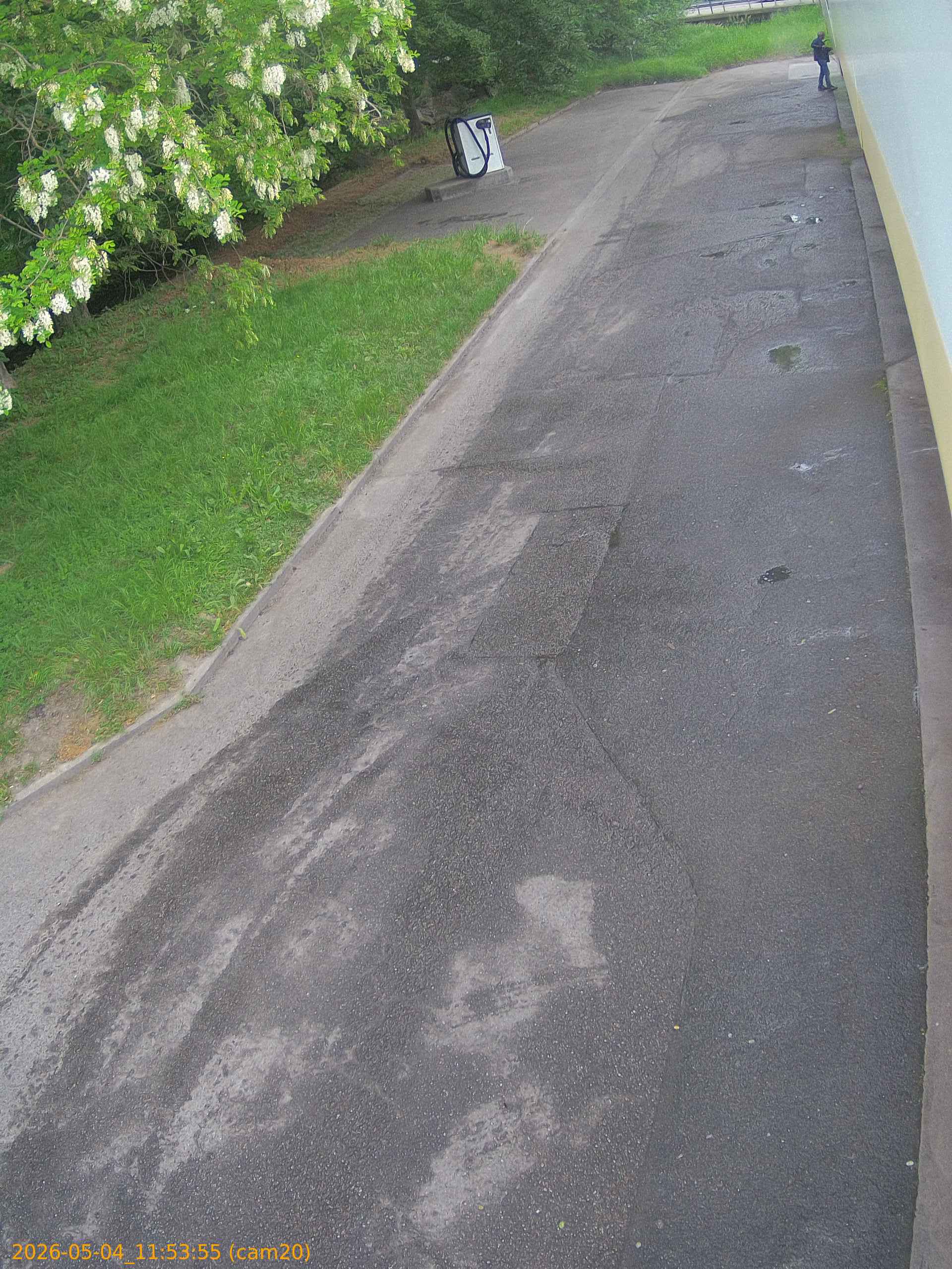 20260504115355