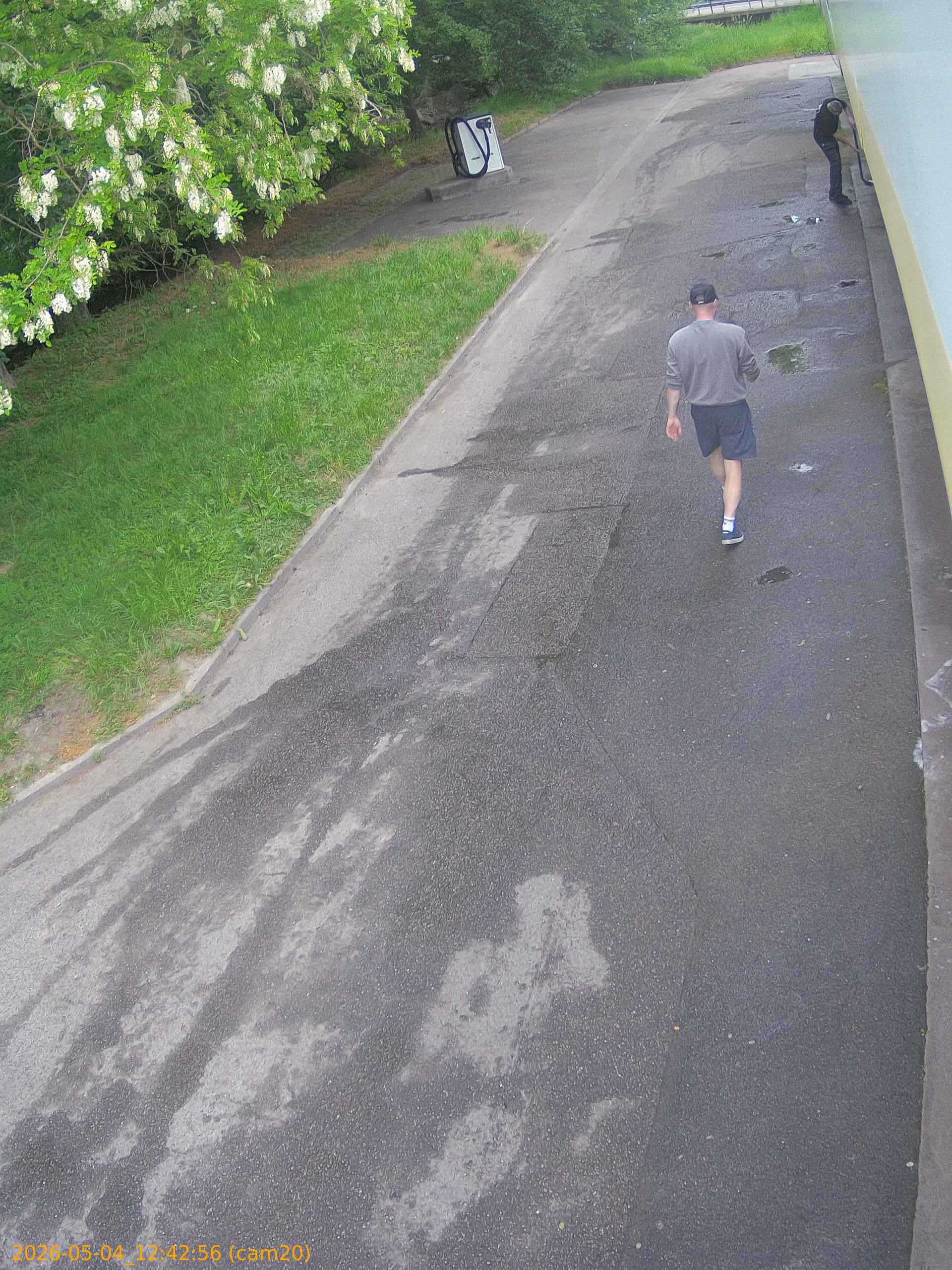 20260504124256