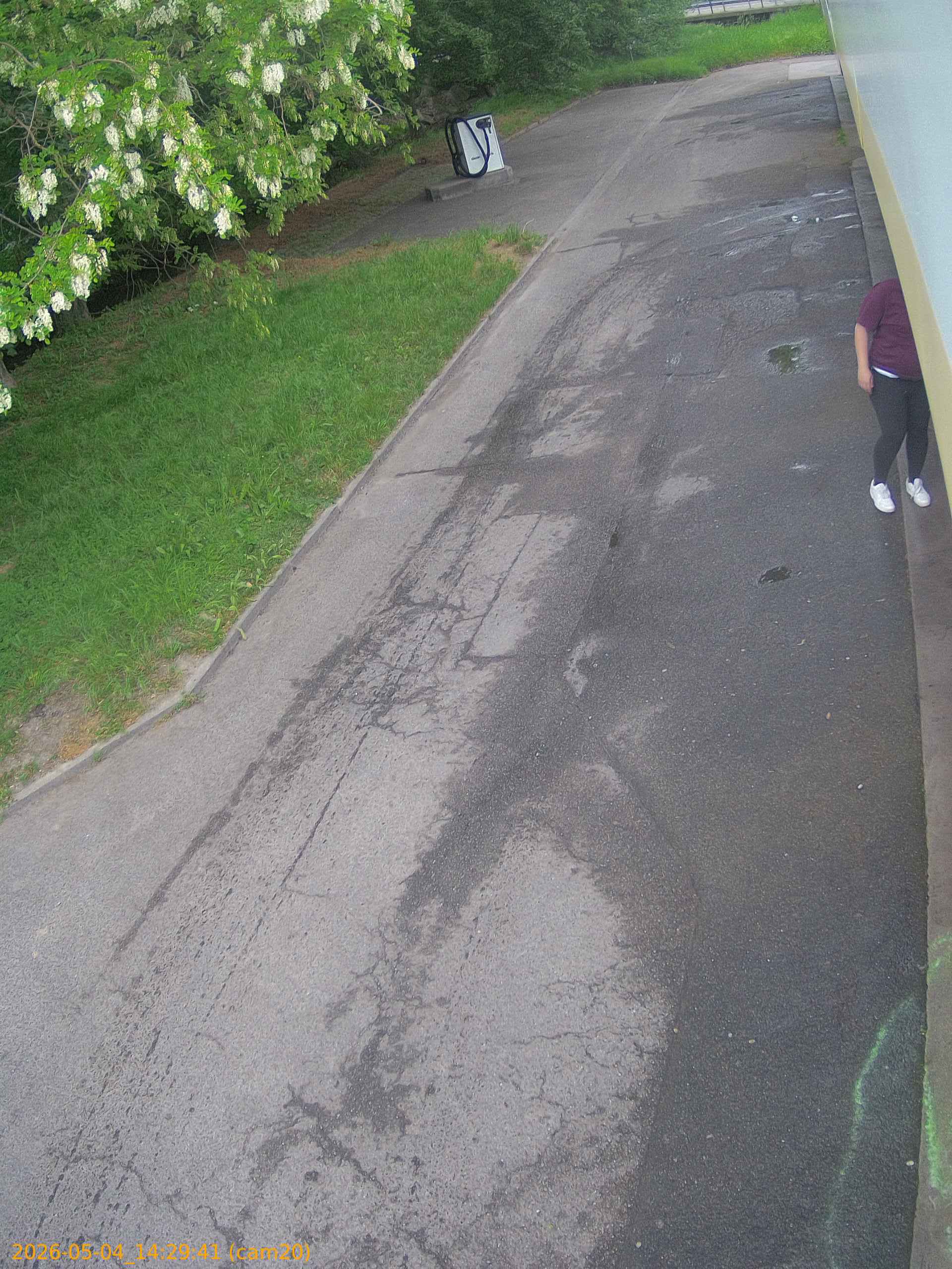 20260504142941