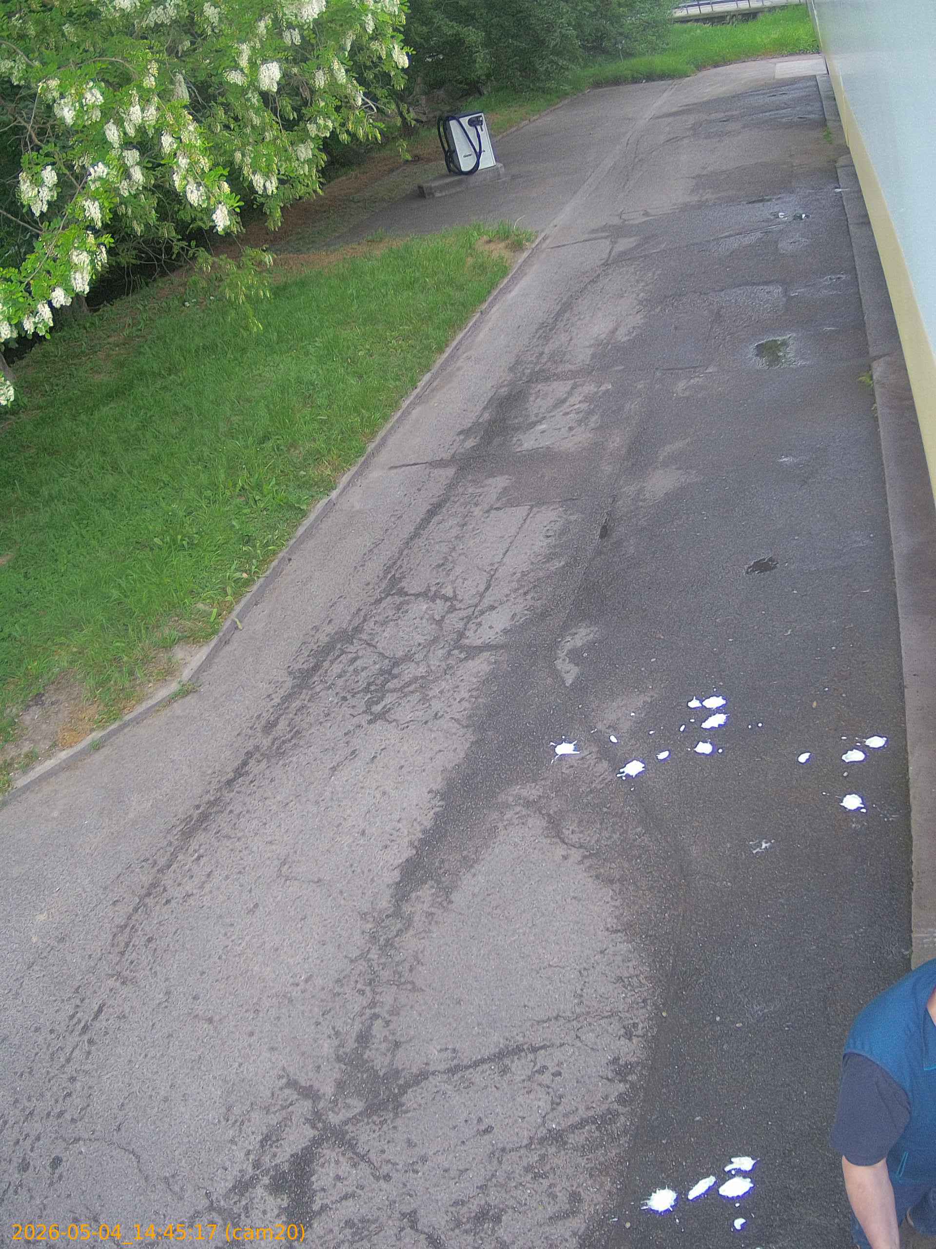 thumbnail_20260504144517