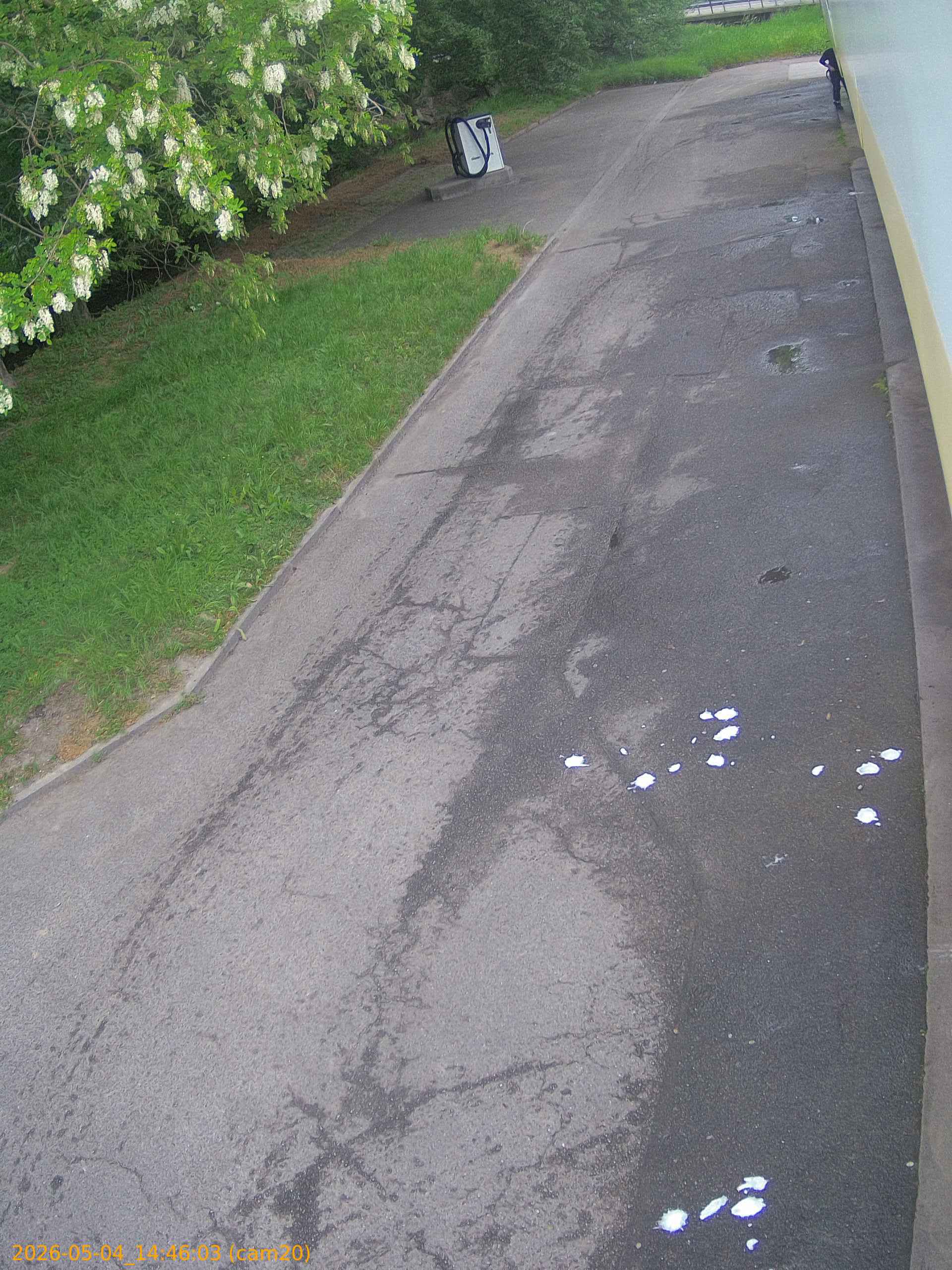 thumbnail_20260504144603
