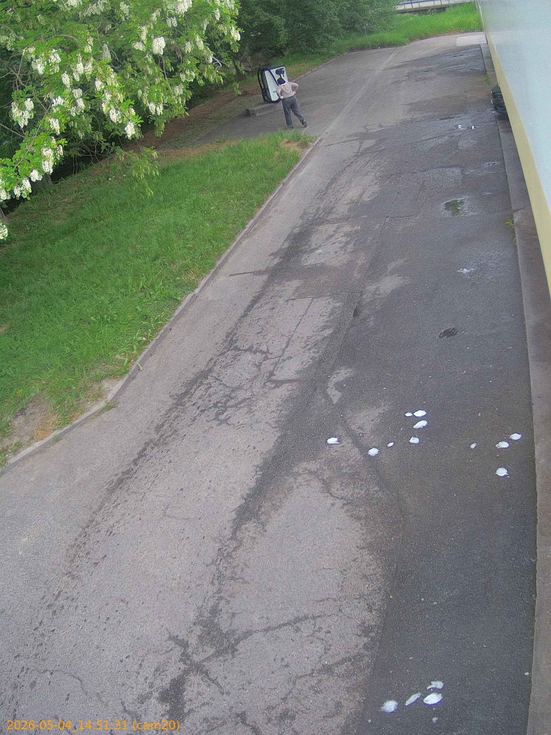 20260504145131