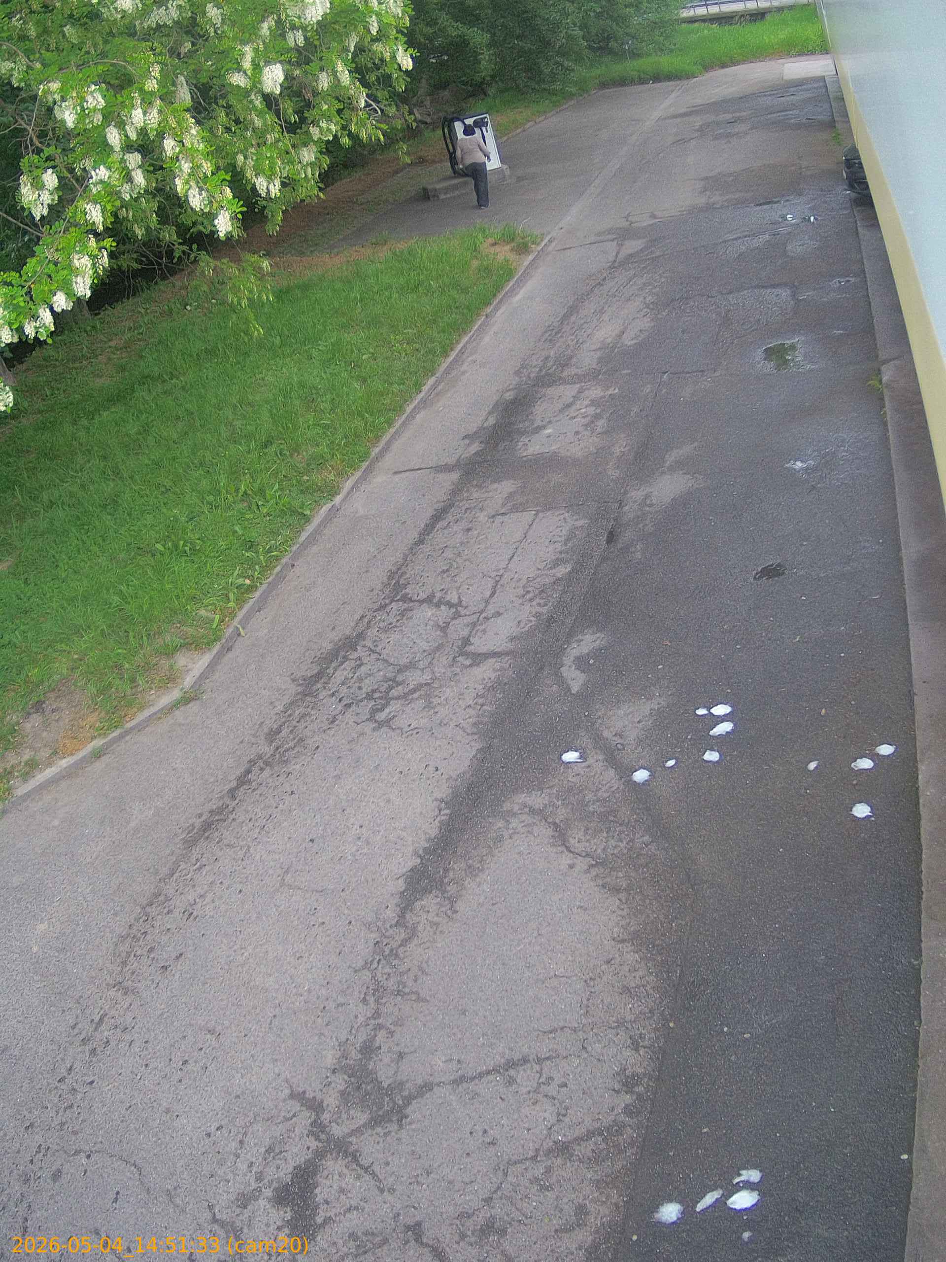 20260504145133