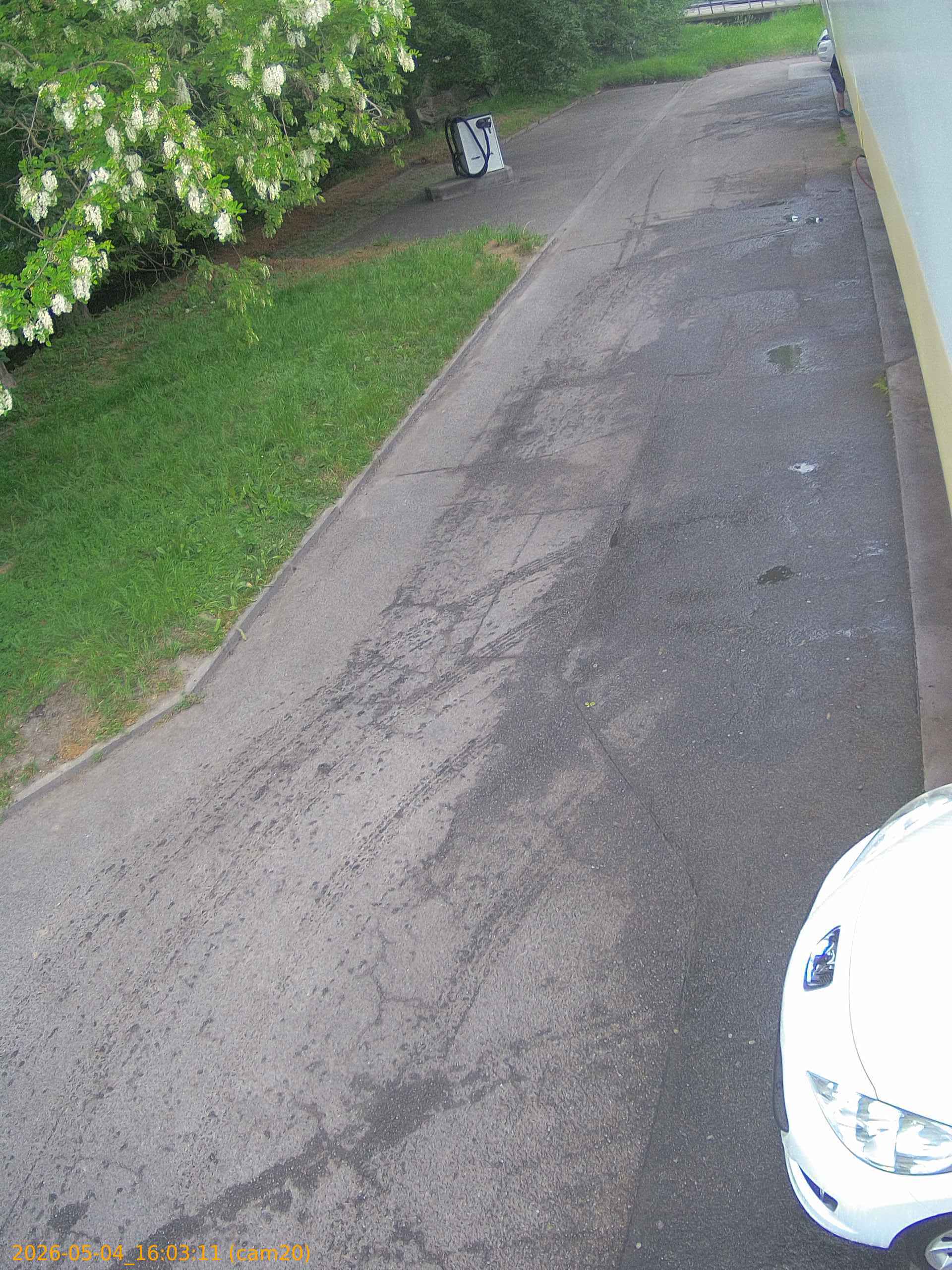 thumbnail_20260504160311
