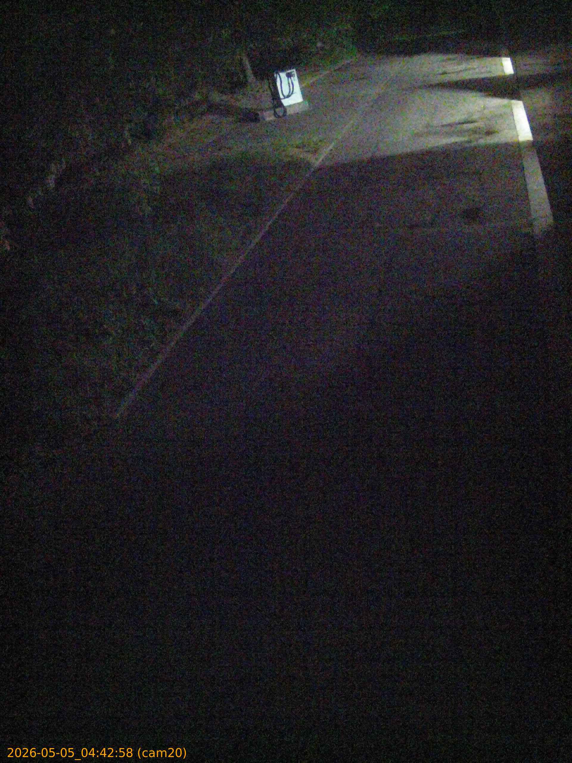 202605050442