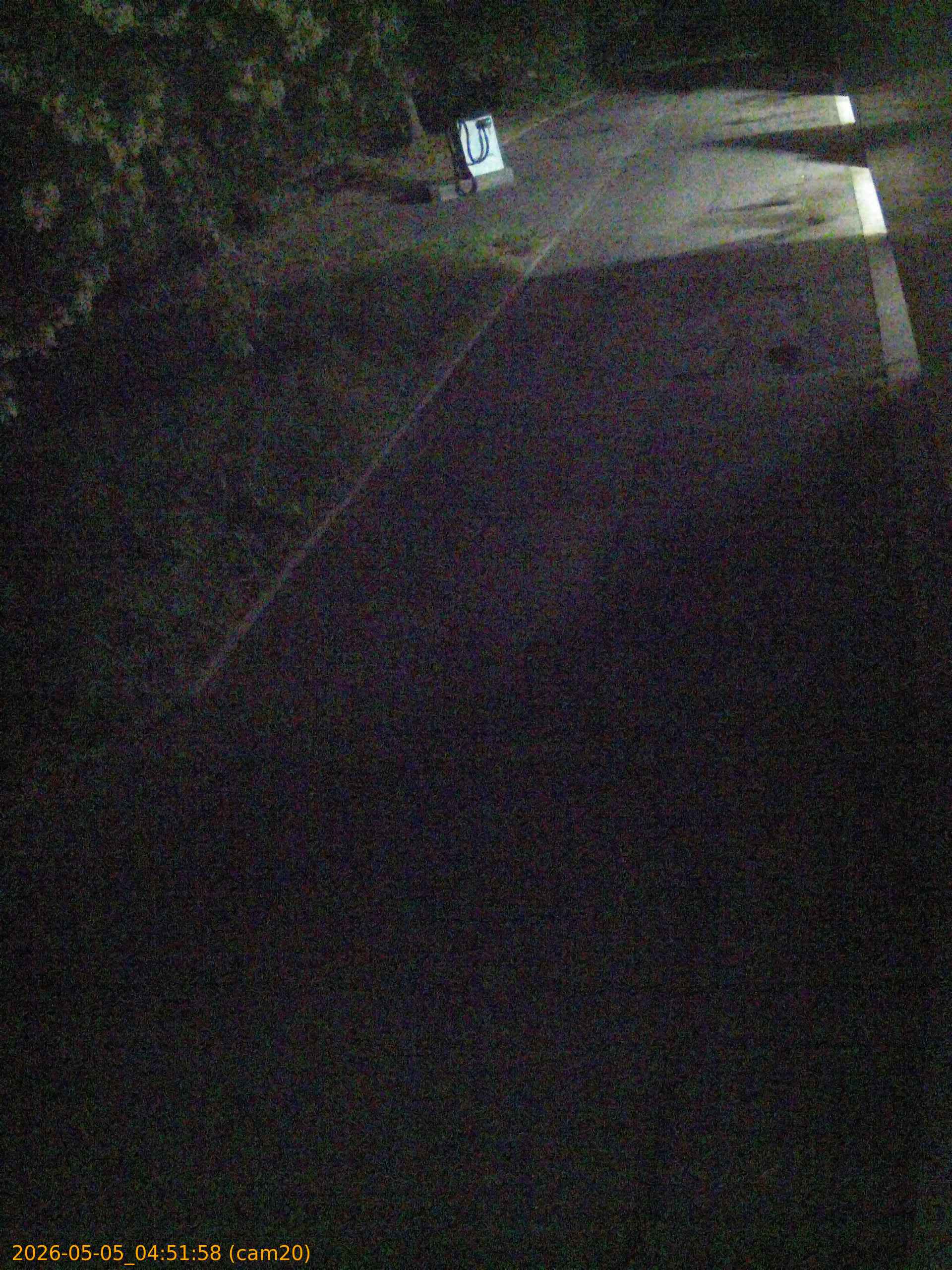 202605050451