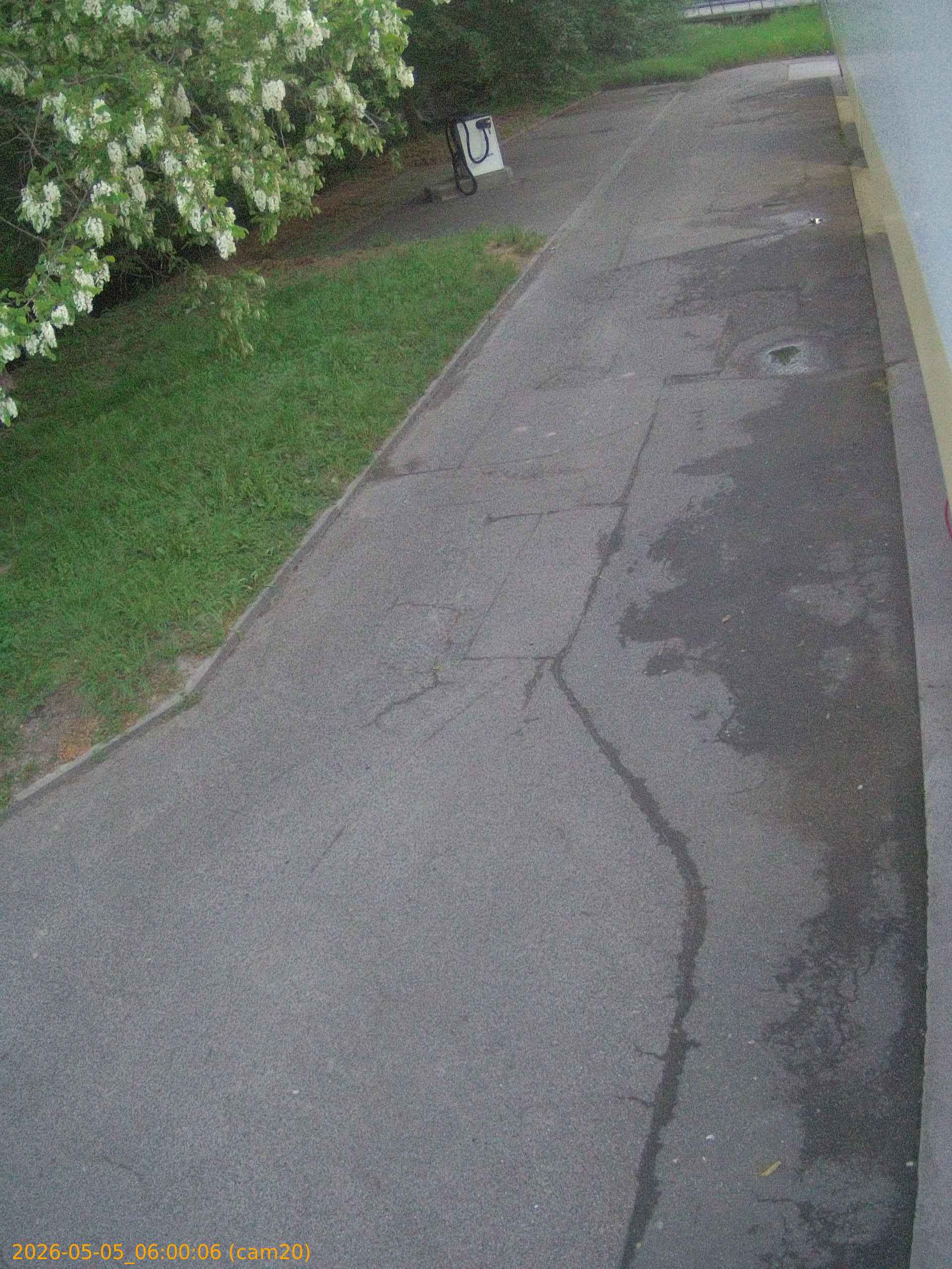 20260505060006
