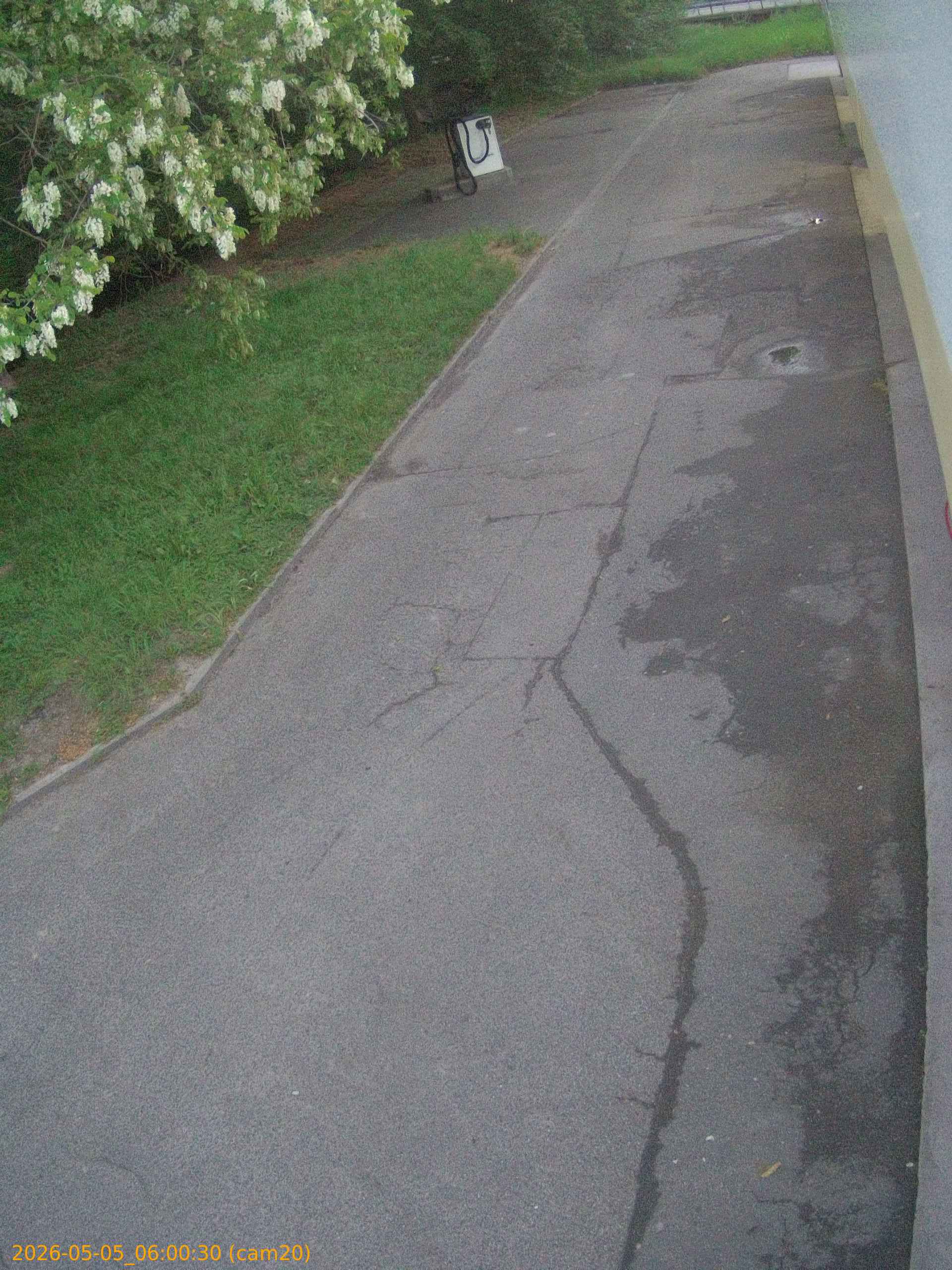 thumbnail_20260505060030