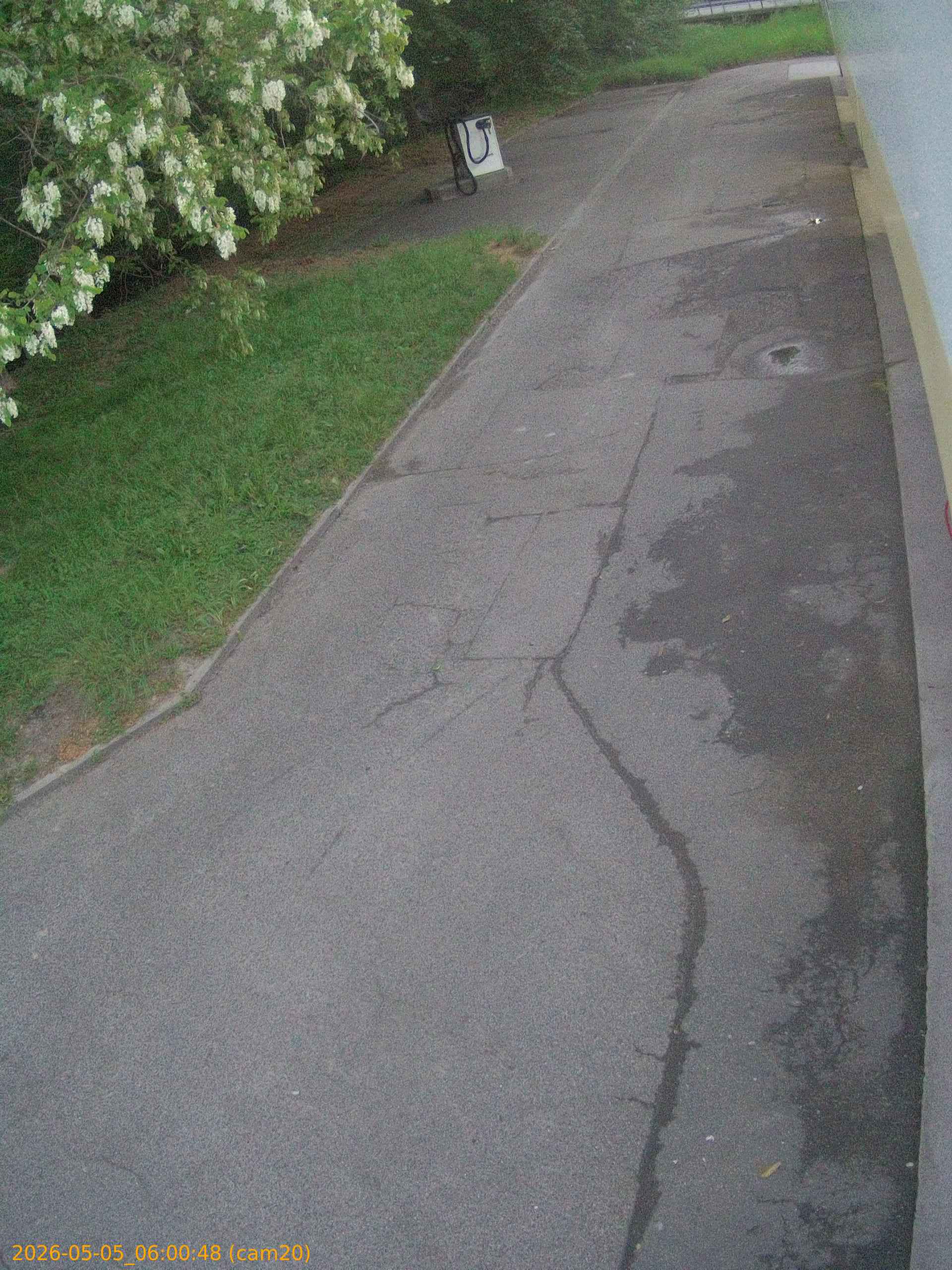 thumbnail_20260505060048