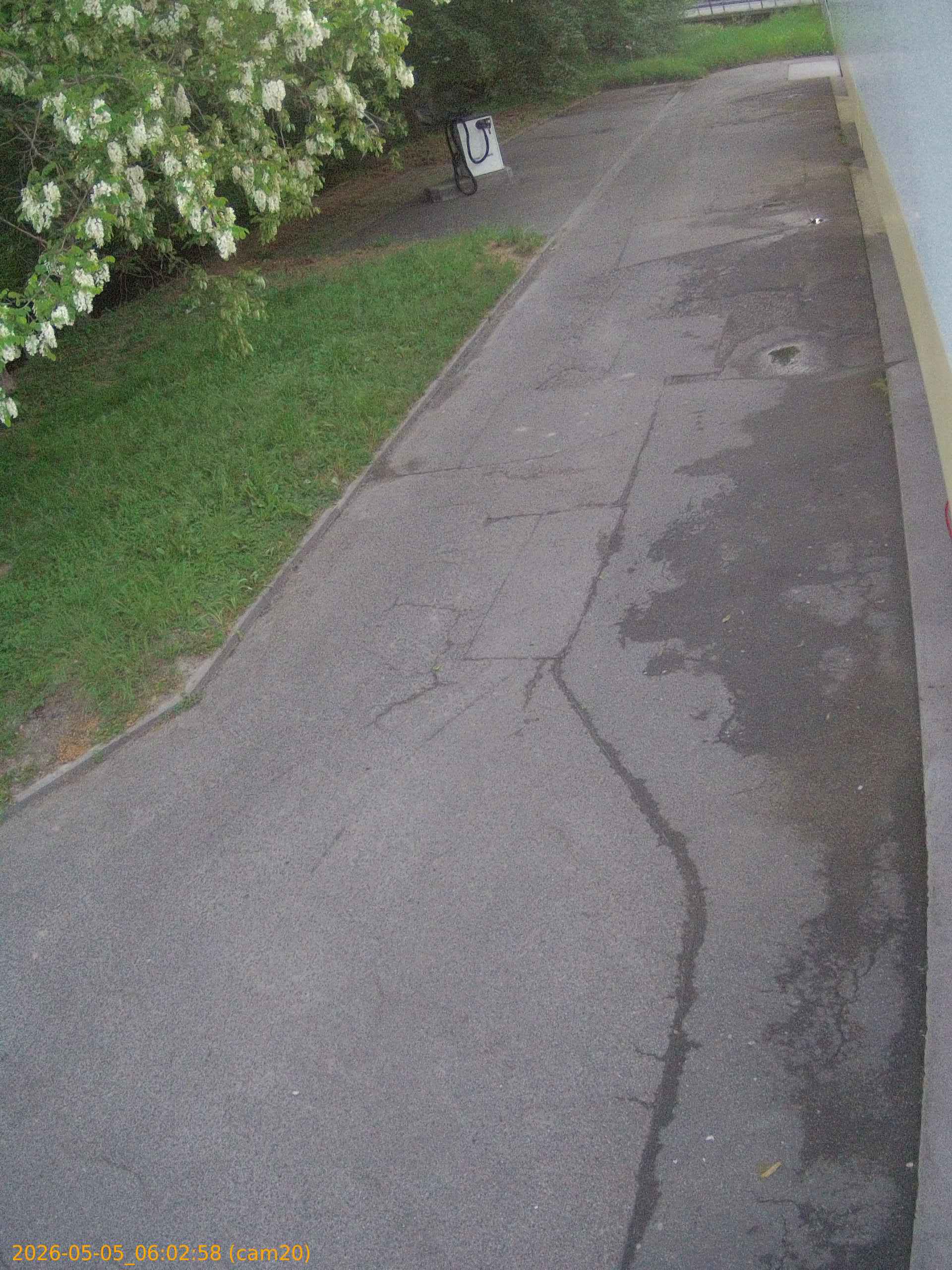 thumbnail_20260505060258