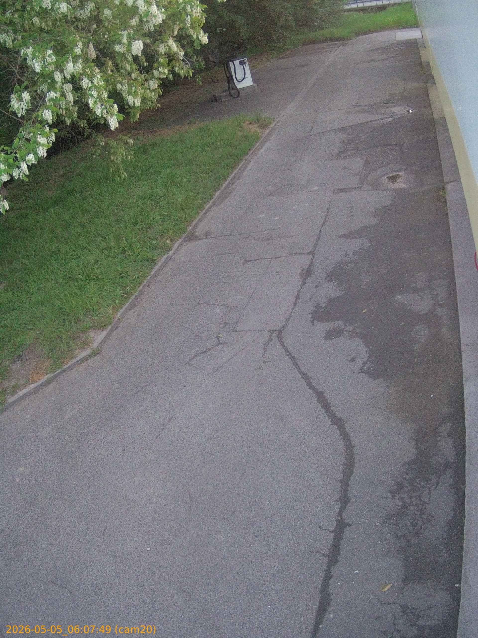thumbnail_20260505060749