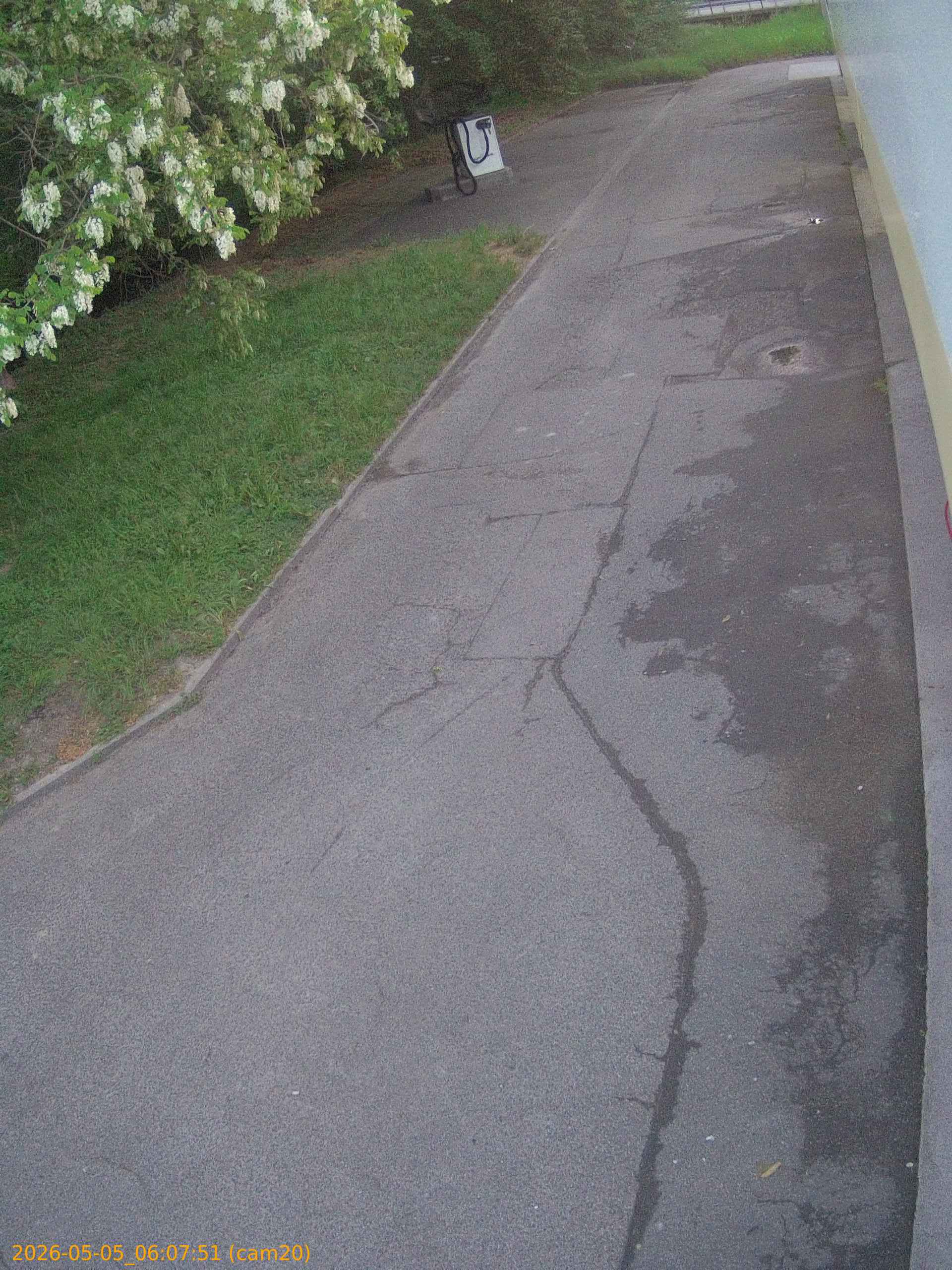 thumbnail_20260505060751
