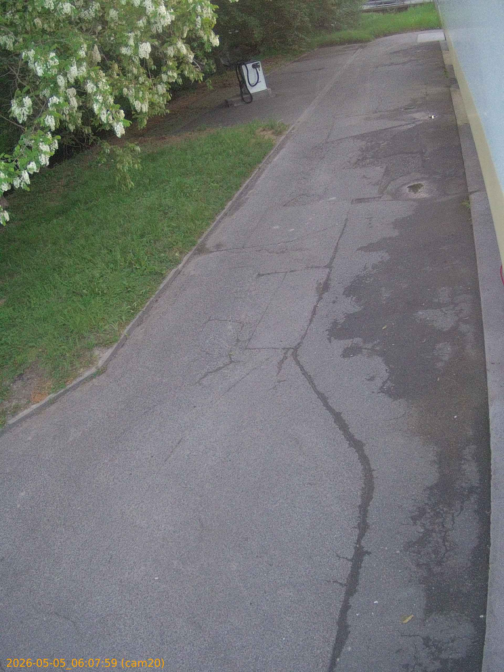 thumbnail_20260505060759