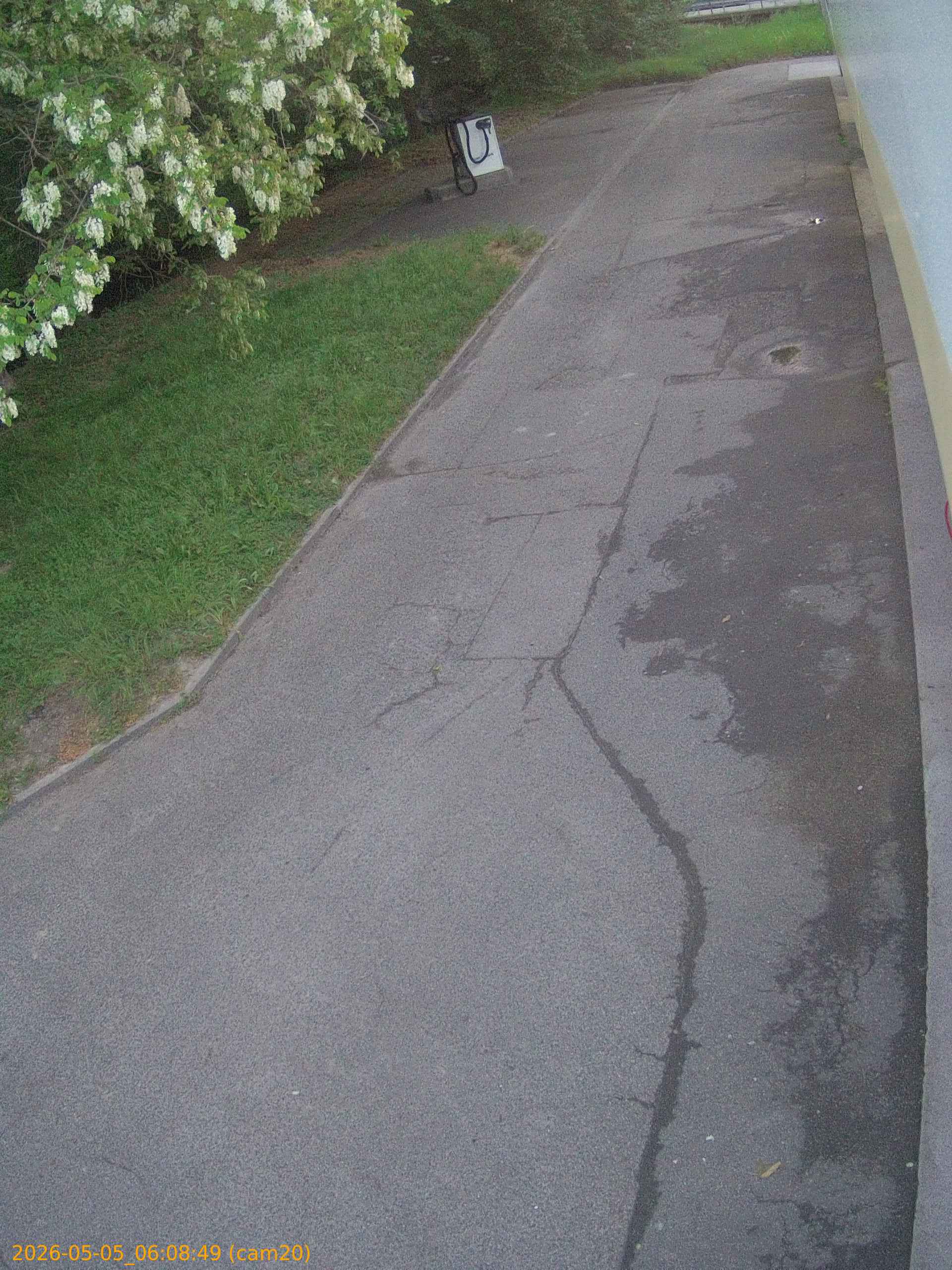 thumbnail_20260505060849
