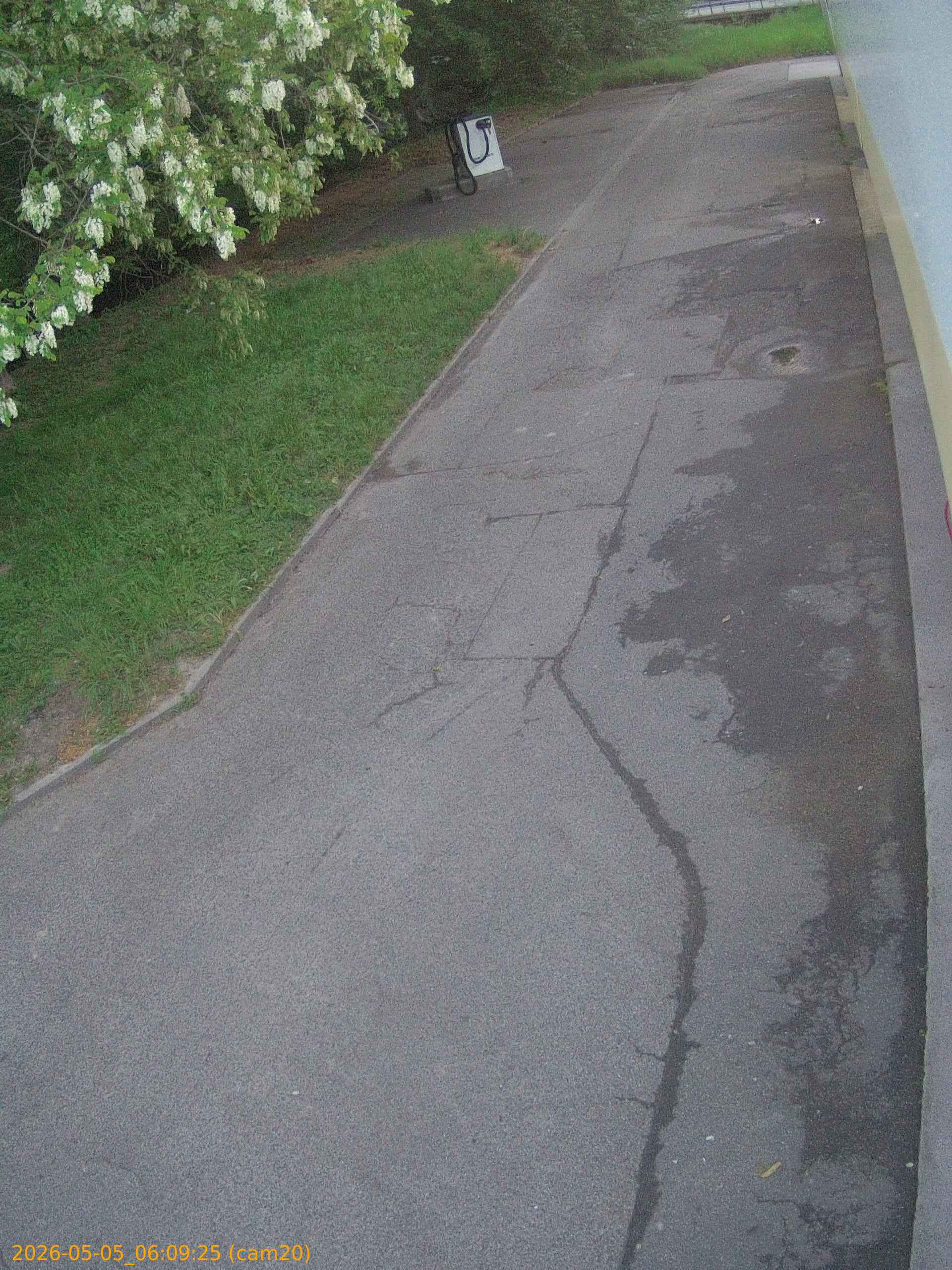 thumbnail_20260505060925