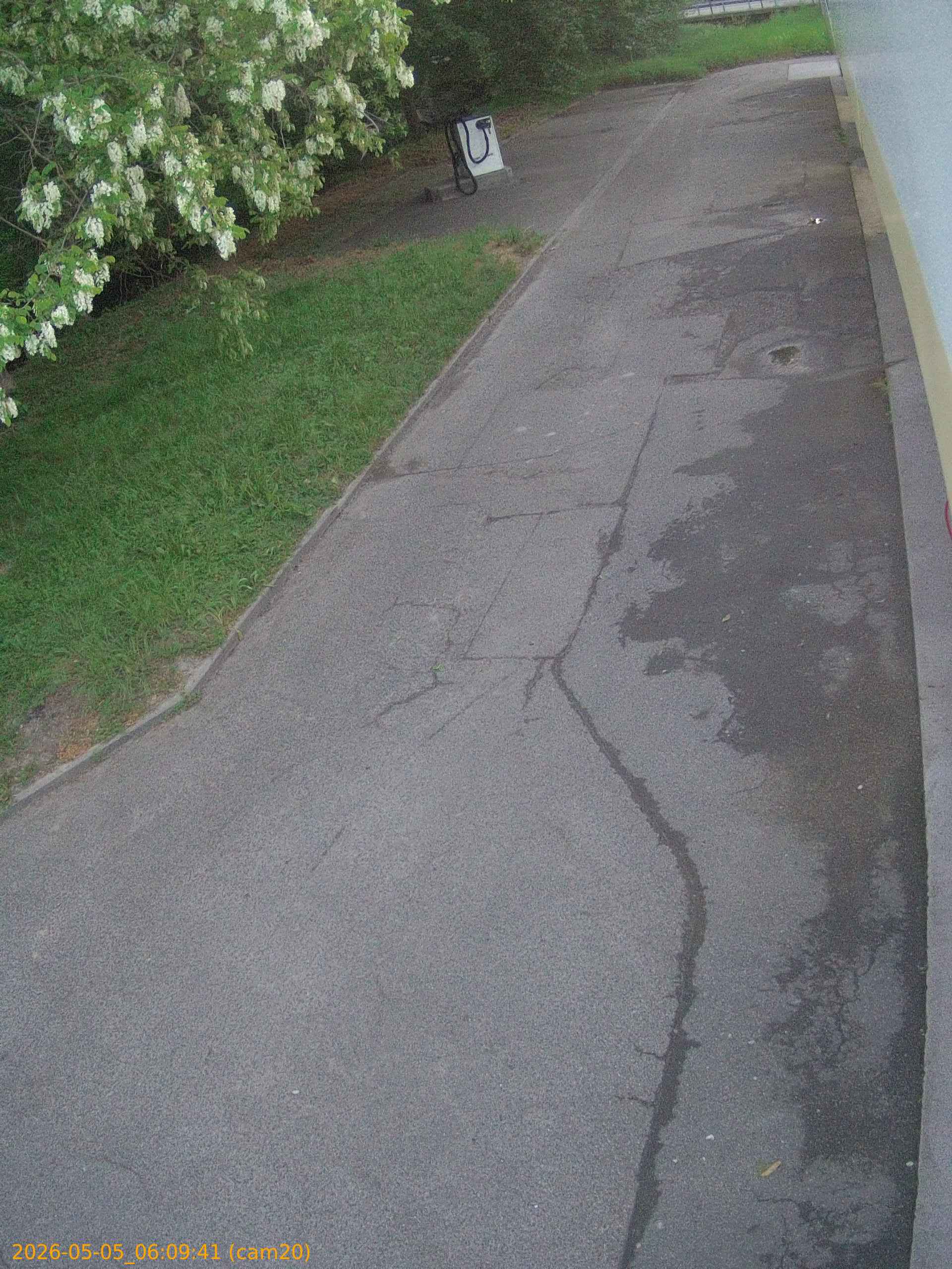 thumbnail_20260505060941