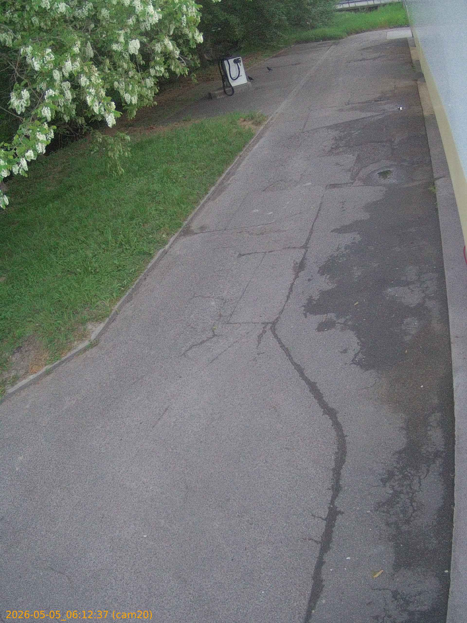 20260505061237