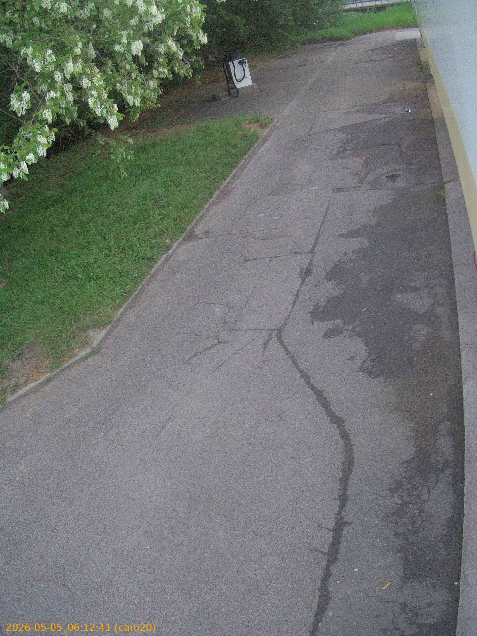 thumbnail_20260505061241