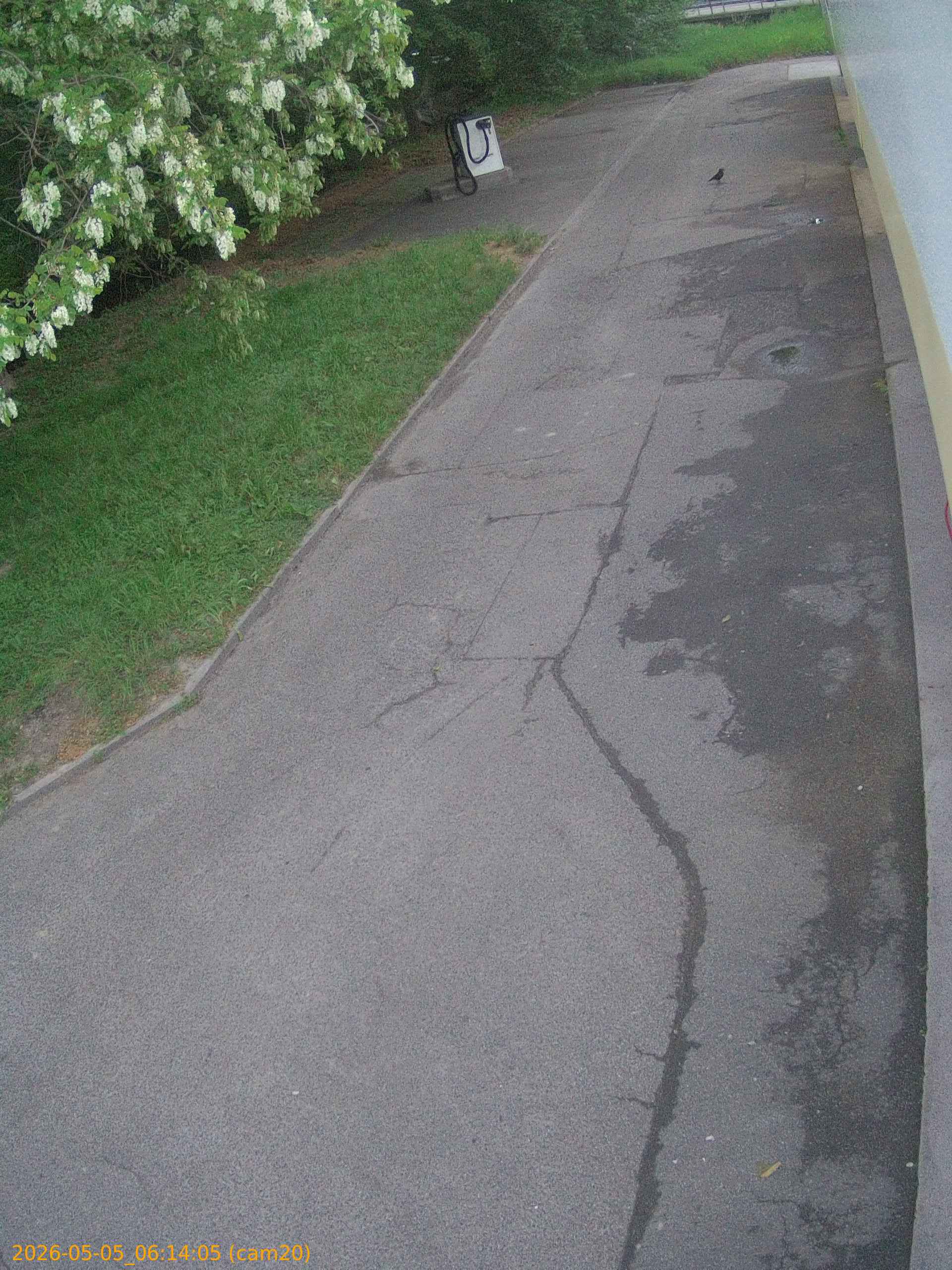 thumbnail_20260505061405
