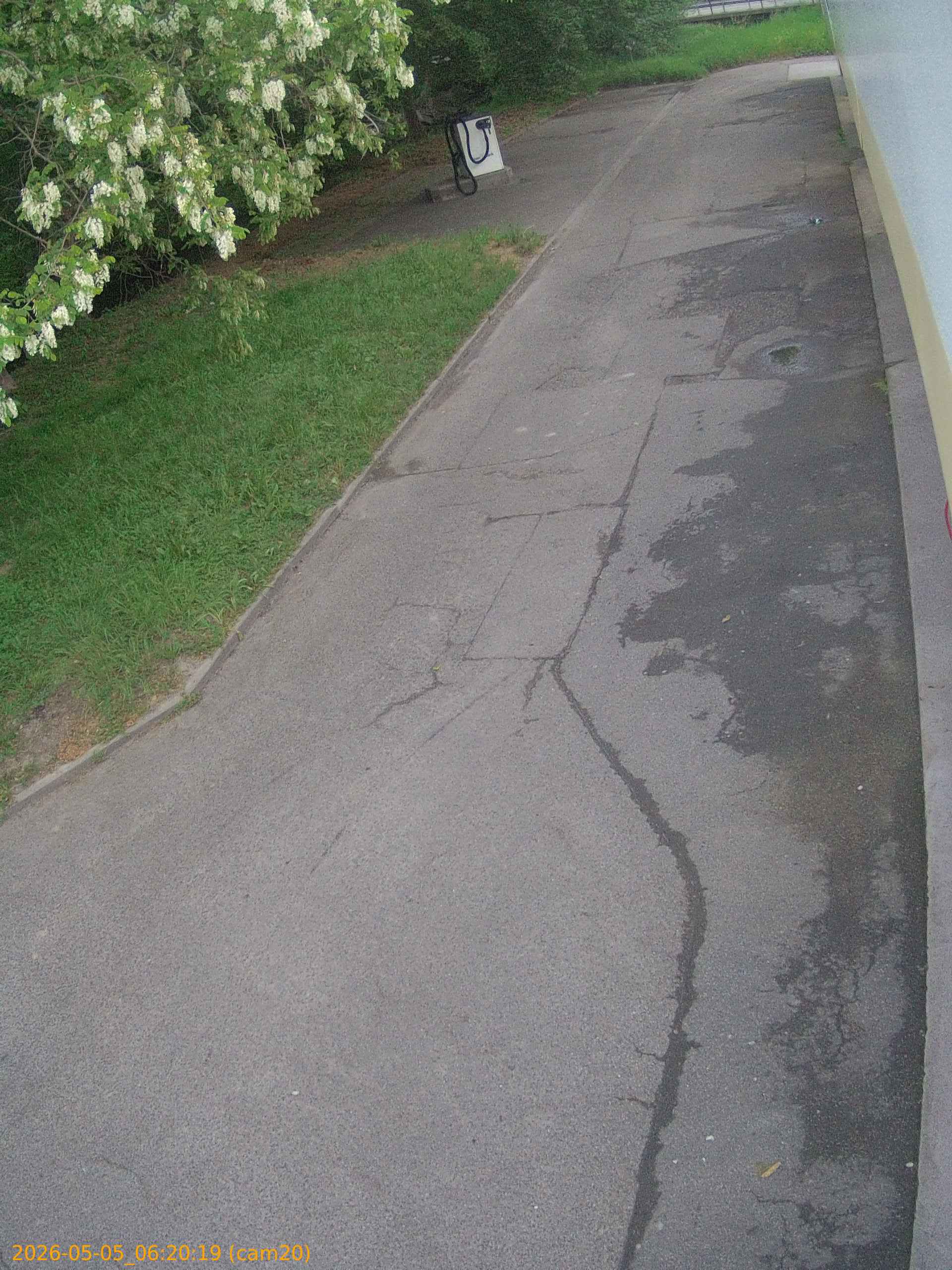 thumbnail_20260505062019