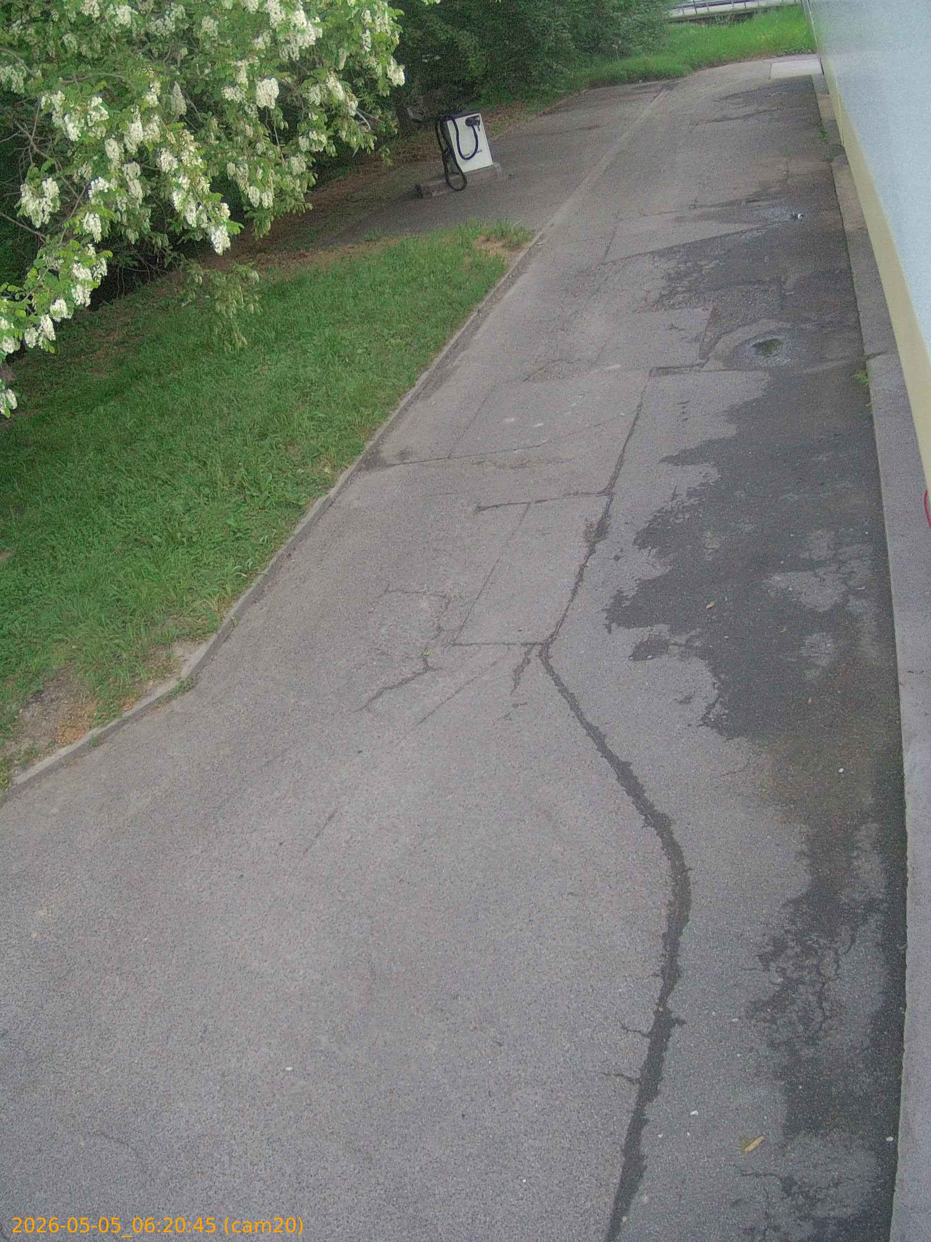 thumbnail_20260505062045