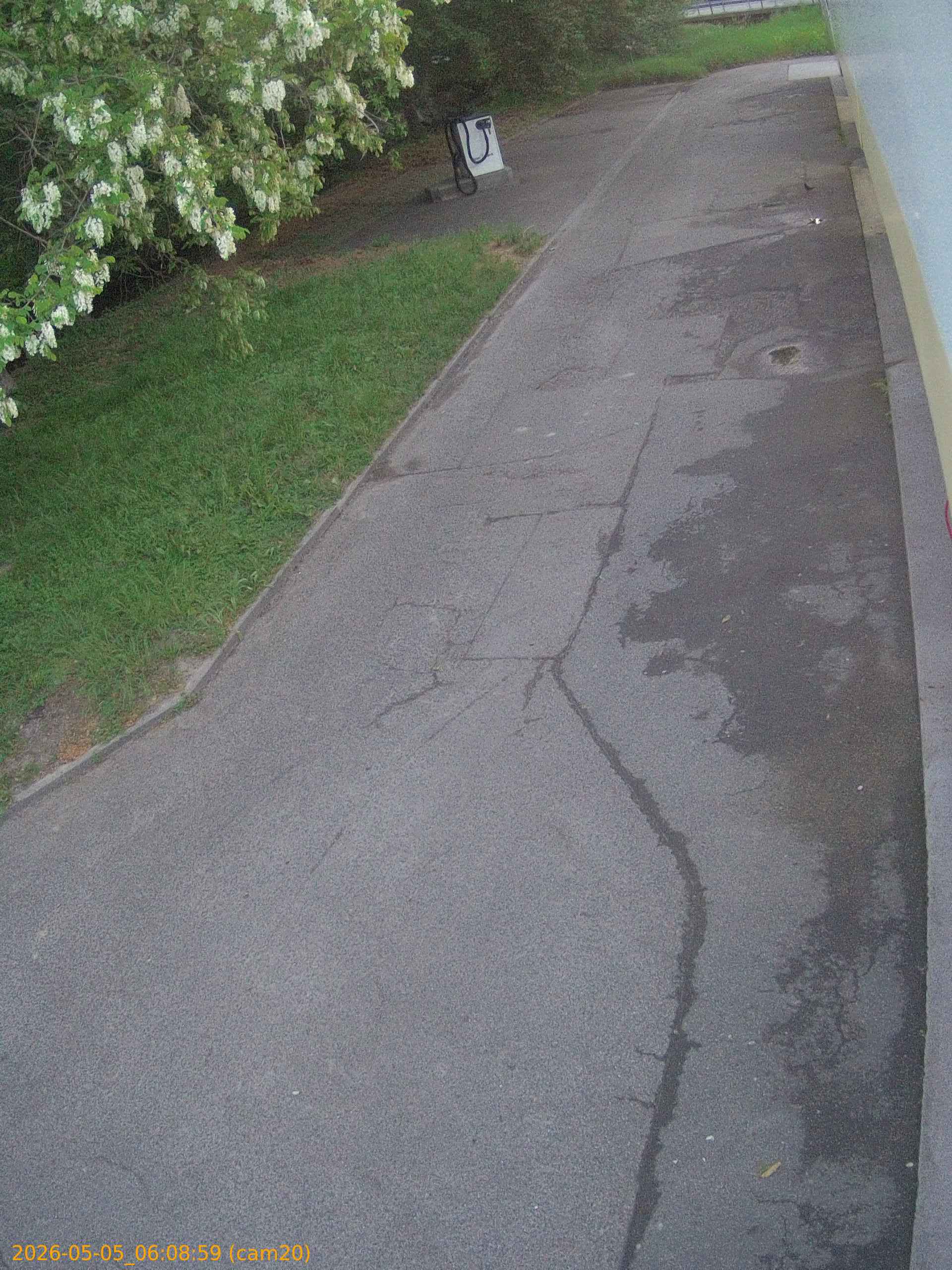 202605050608