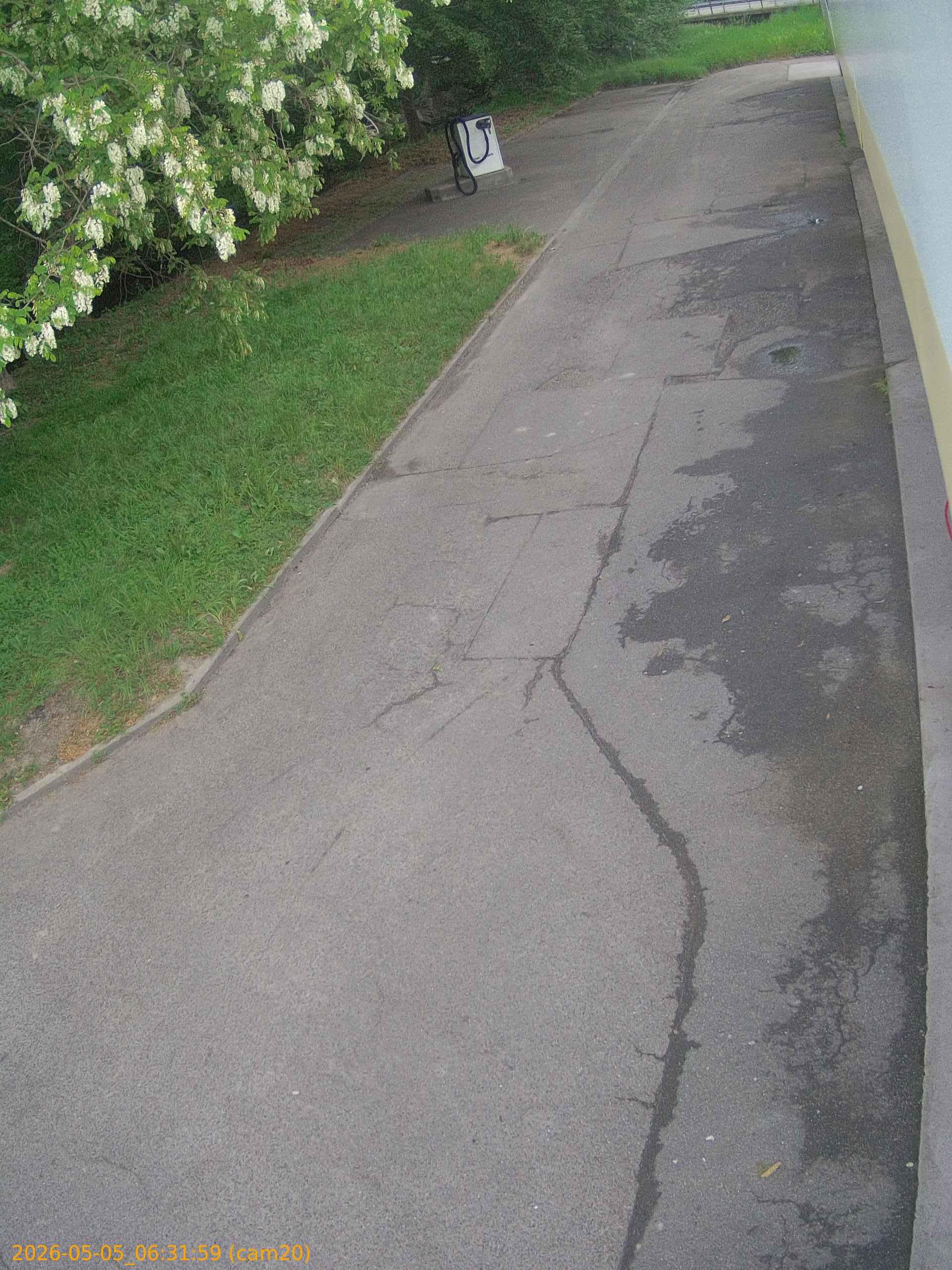 202605050631