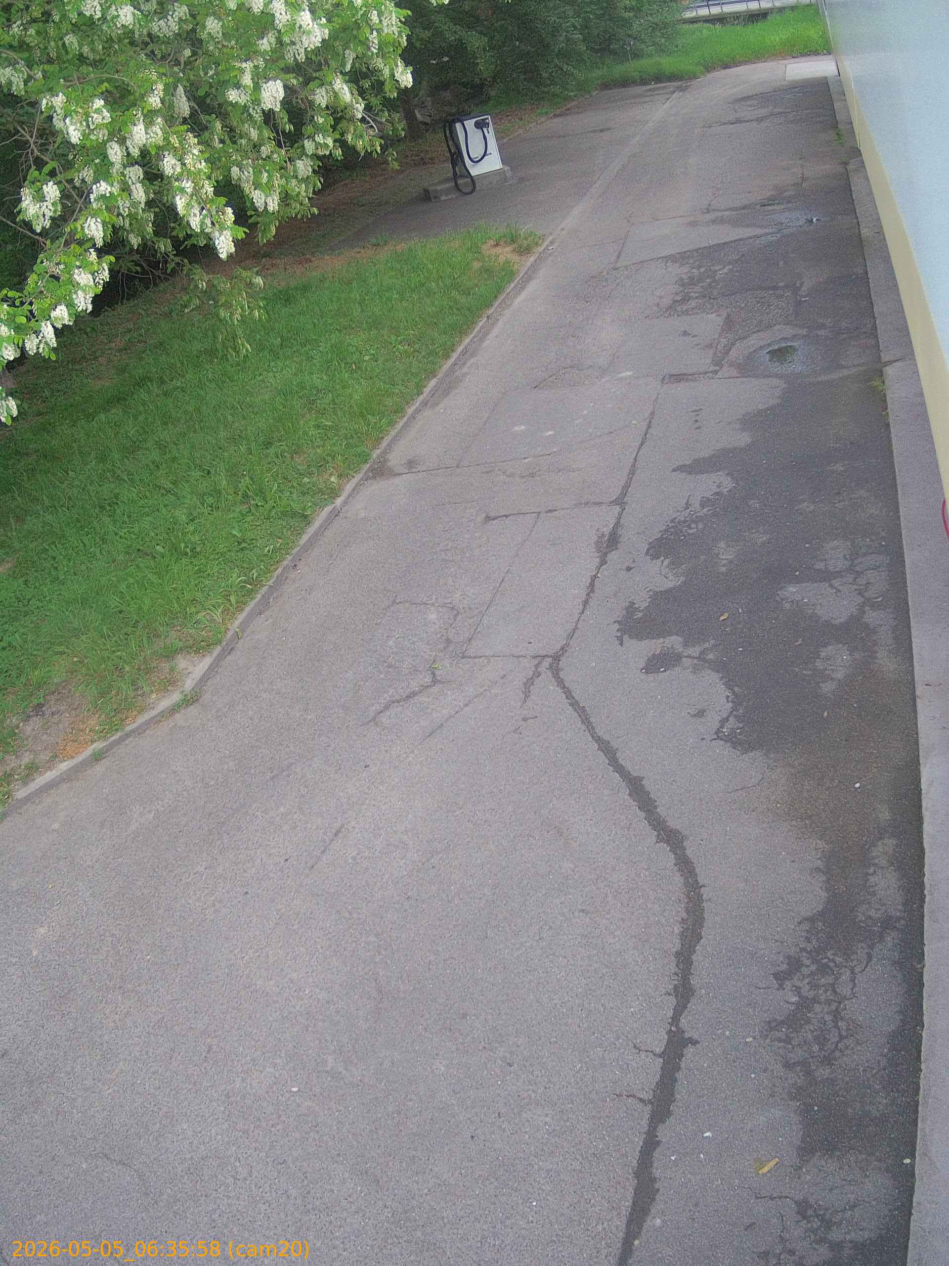 202605050635