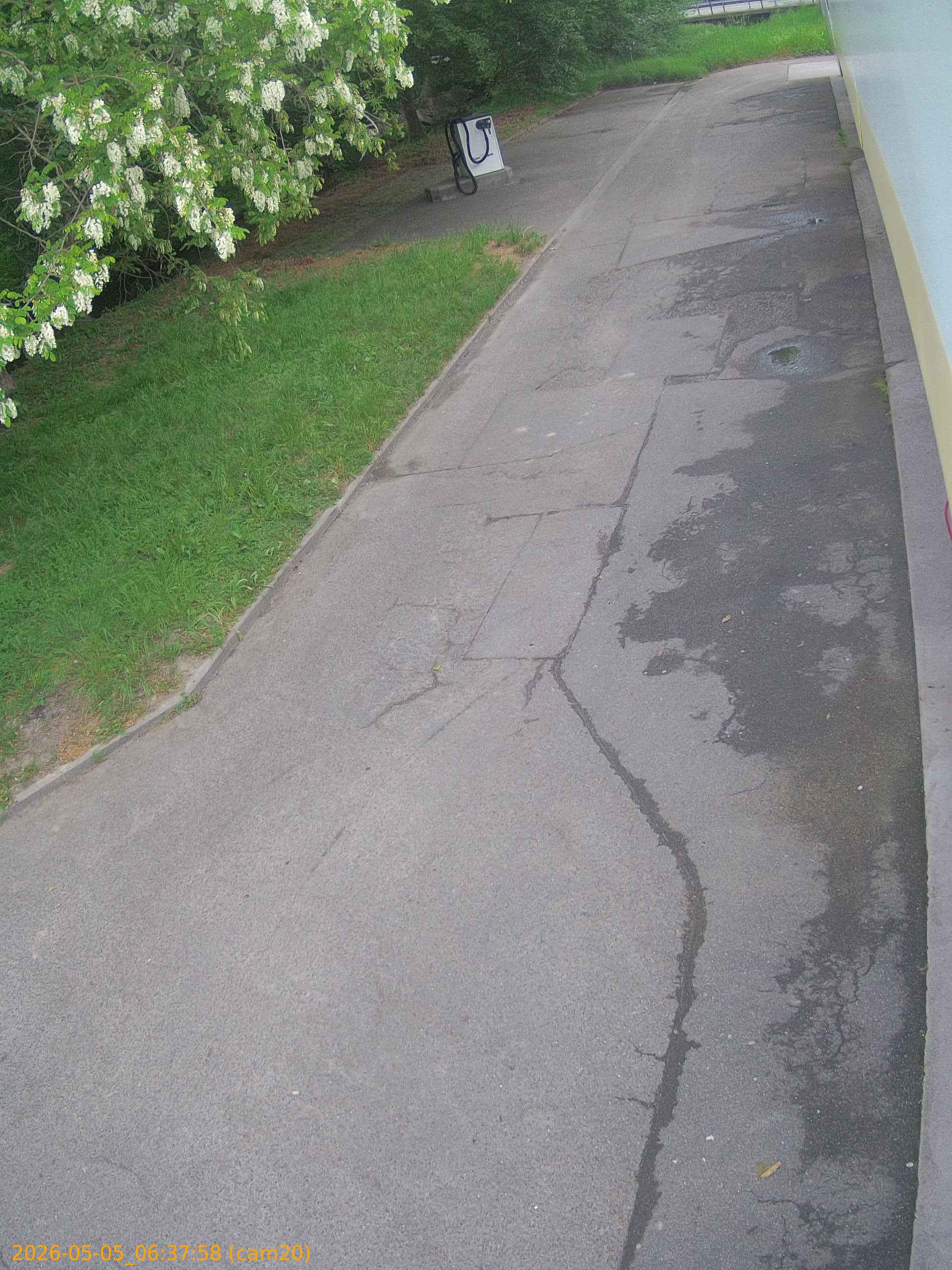 202605050637