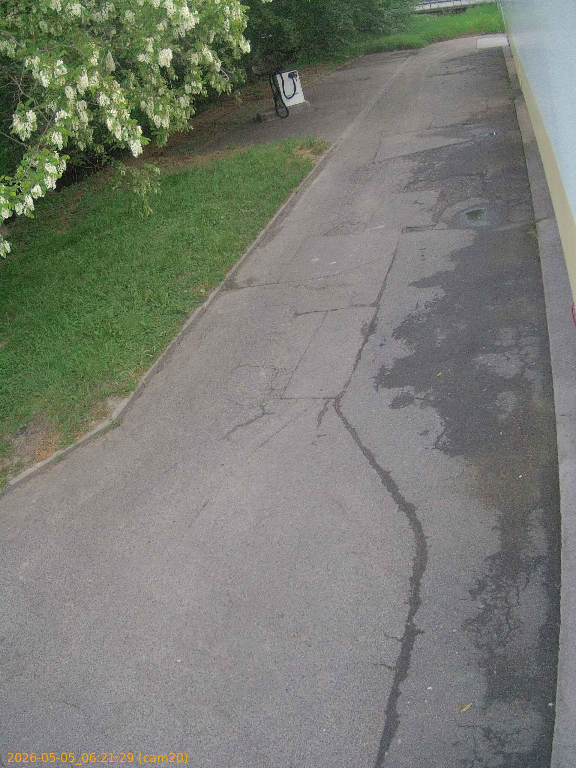 thumbnail_20260505062129