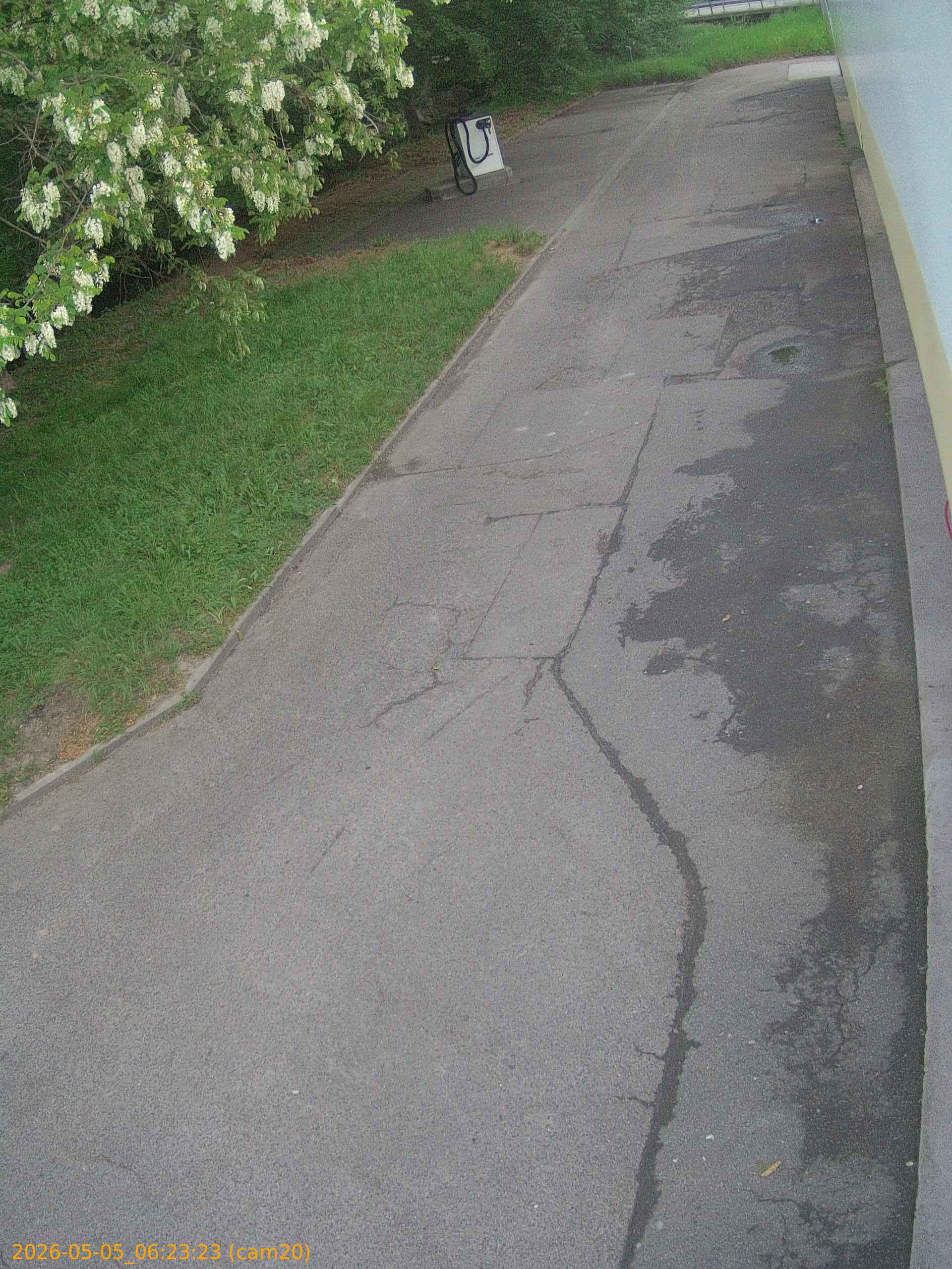 thumbnail_20260505062323