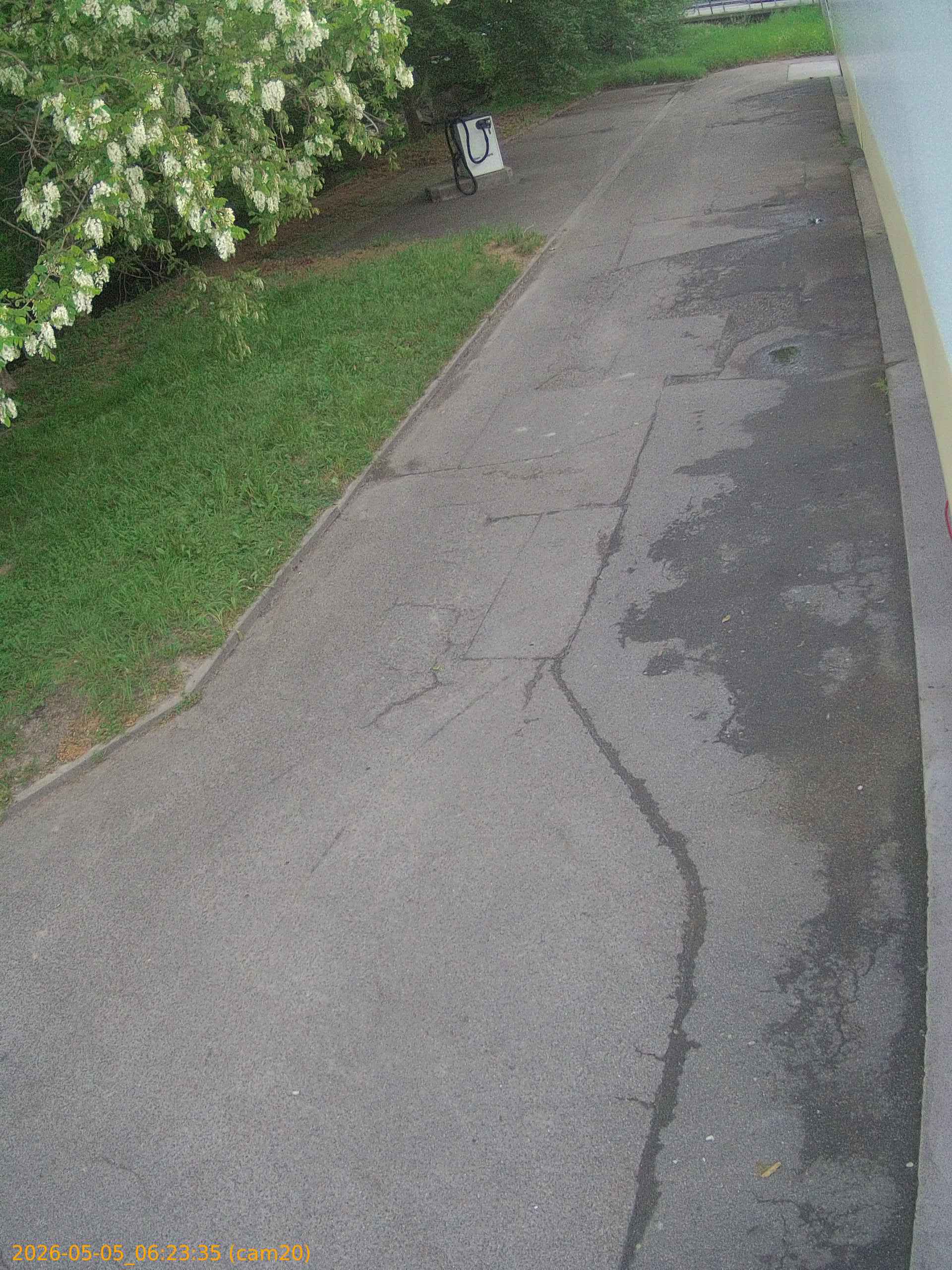thumbnail_20260505062335
