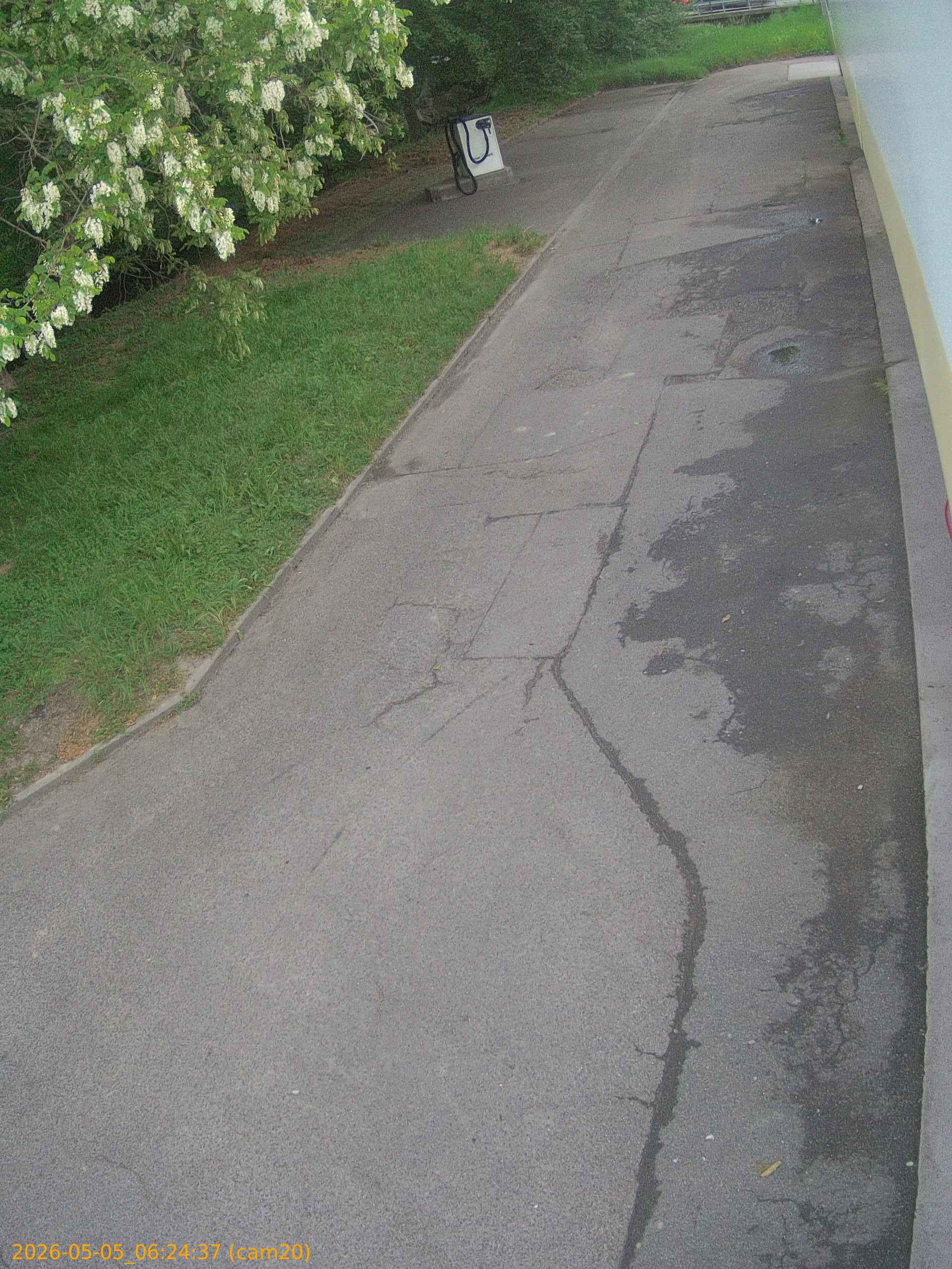 thumbnail_20260505062437