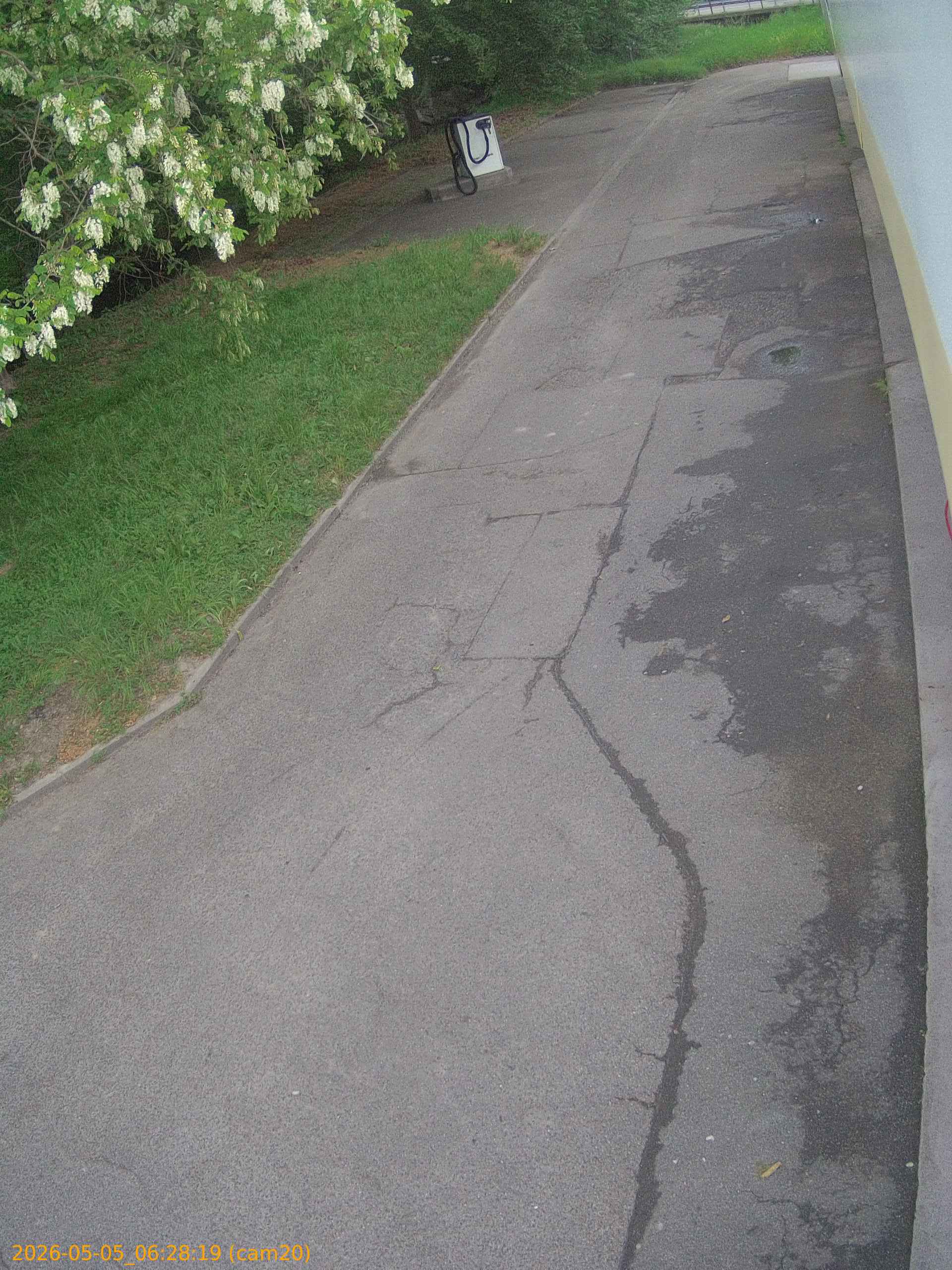 thumbnail_20260505062819