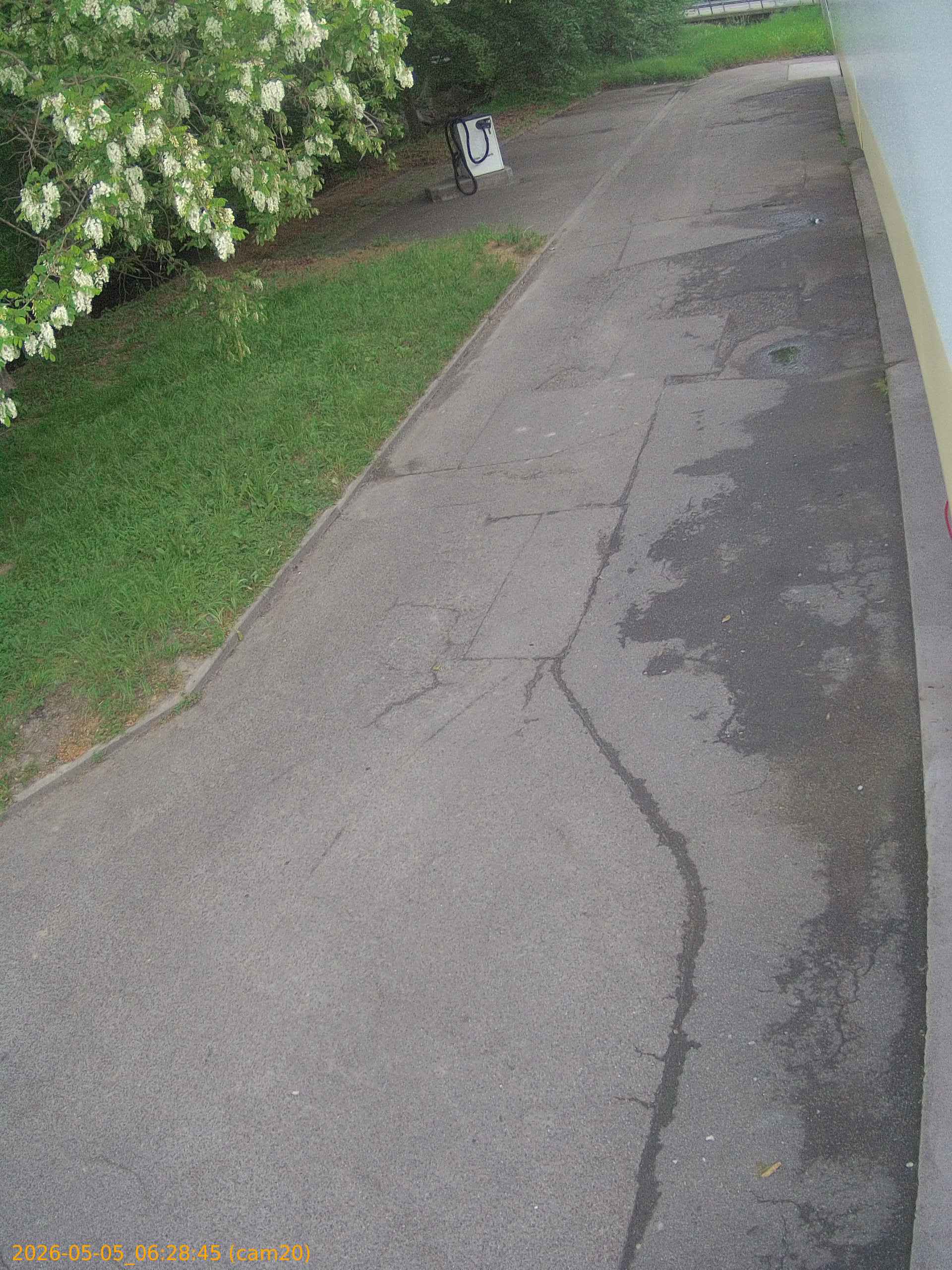 thumbnail_20260505062845