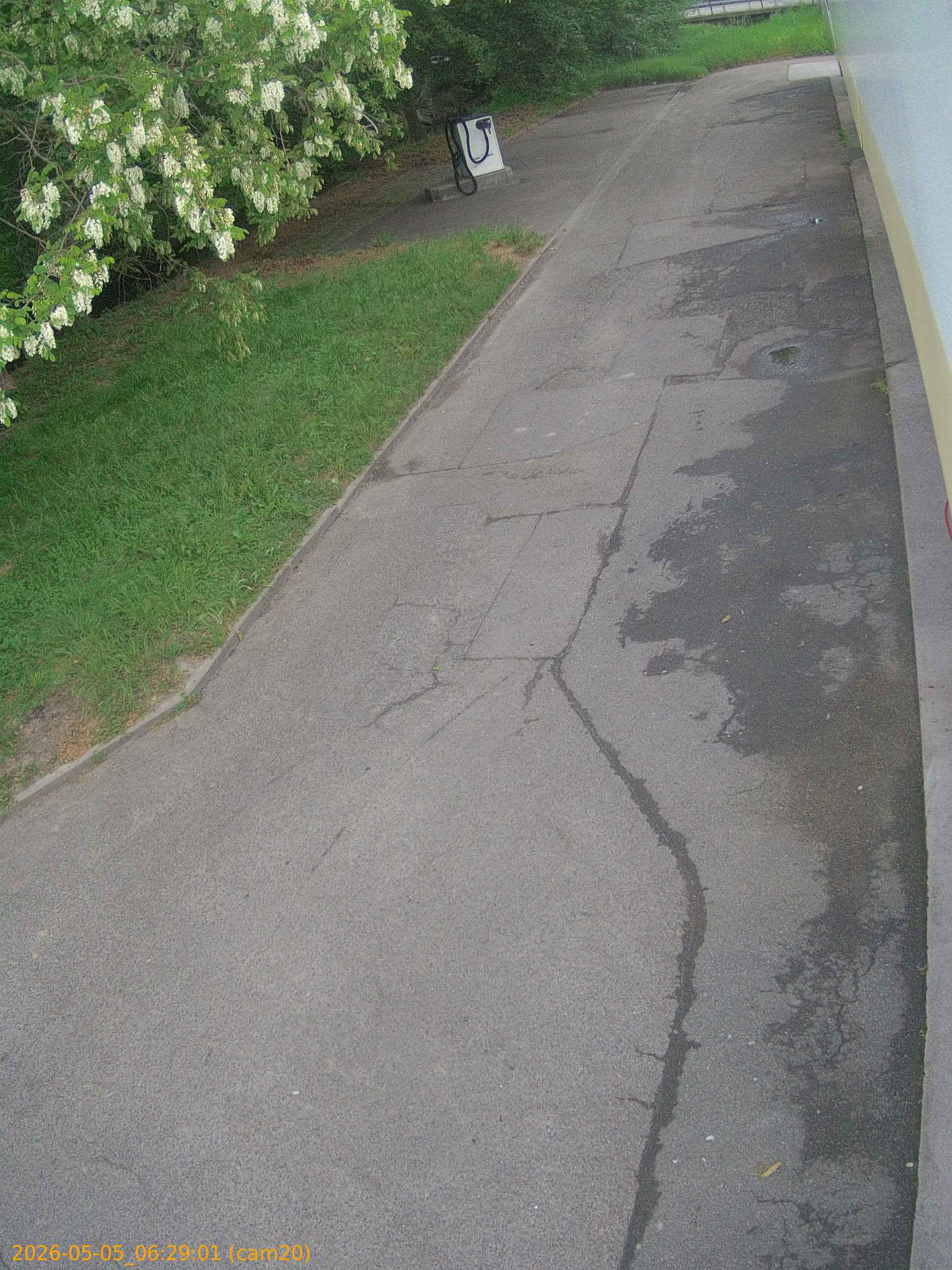 20260505062901