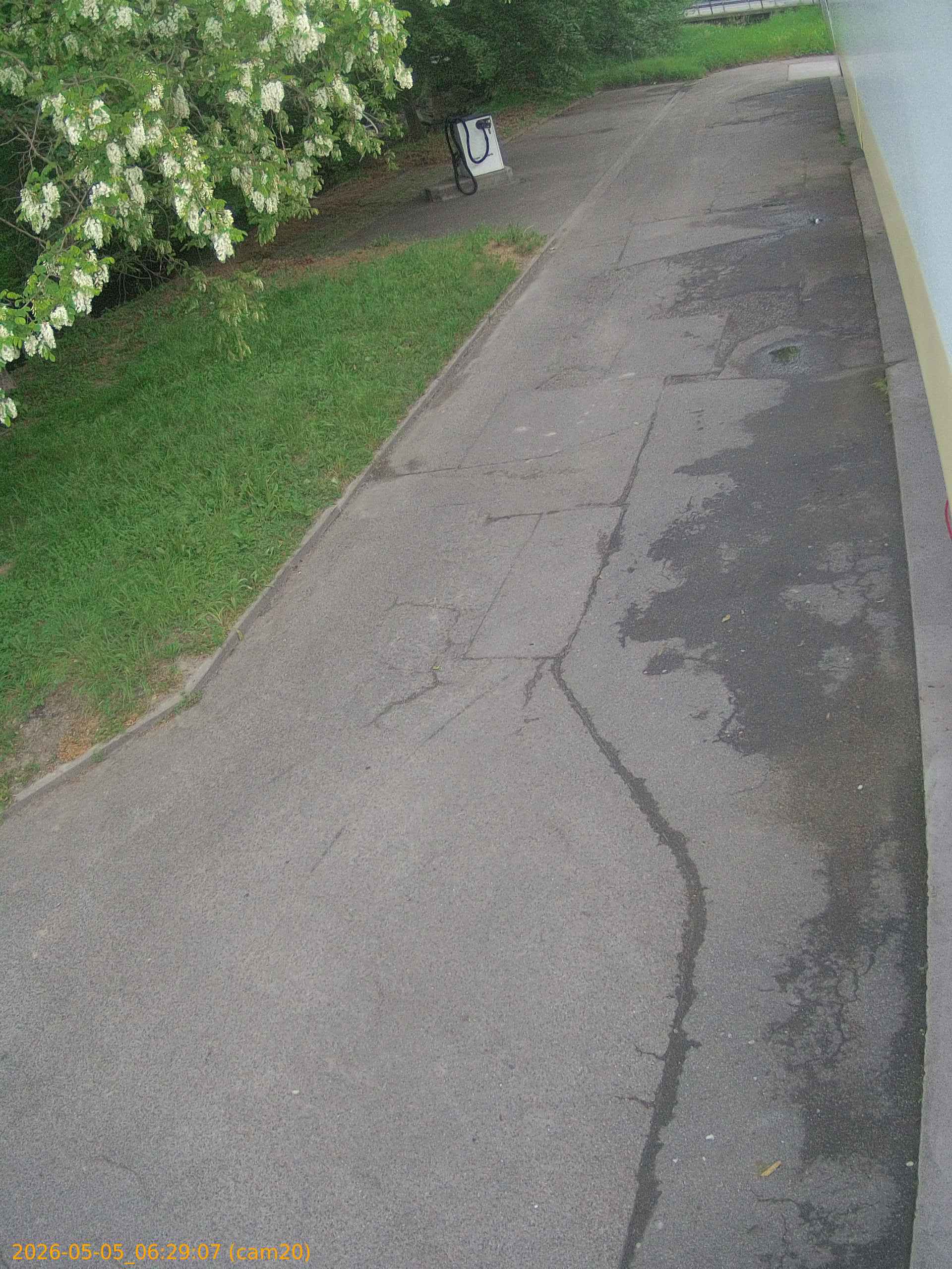 thumbnail_20260505062907