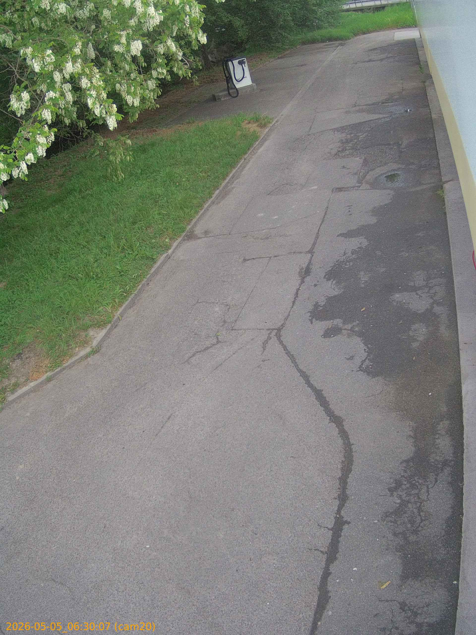 thumbnail_20260505063007