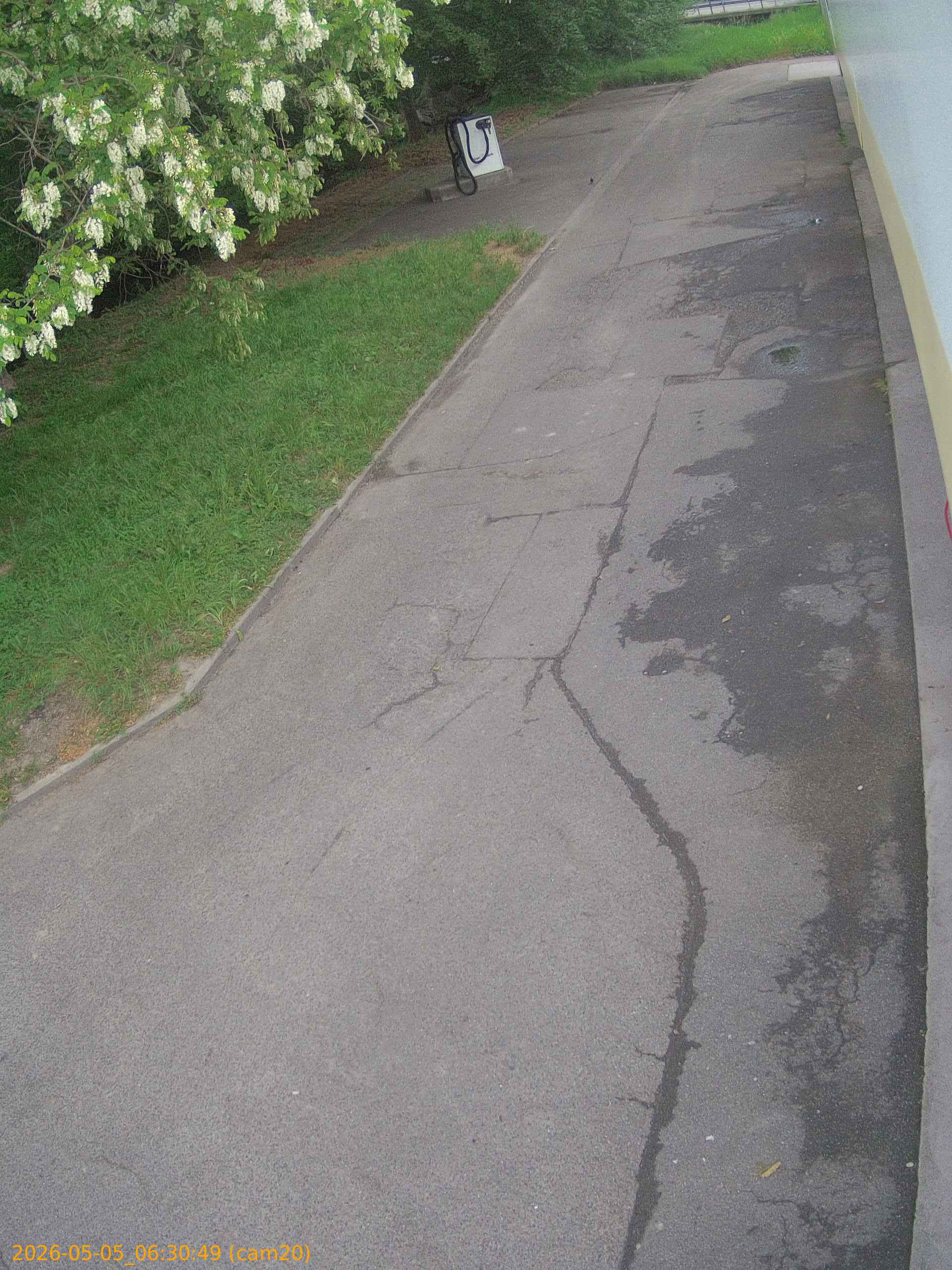 thumbnail_20260505063049