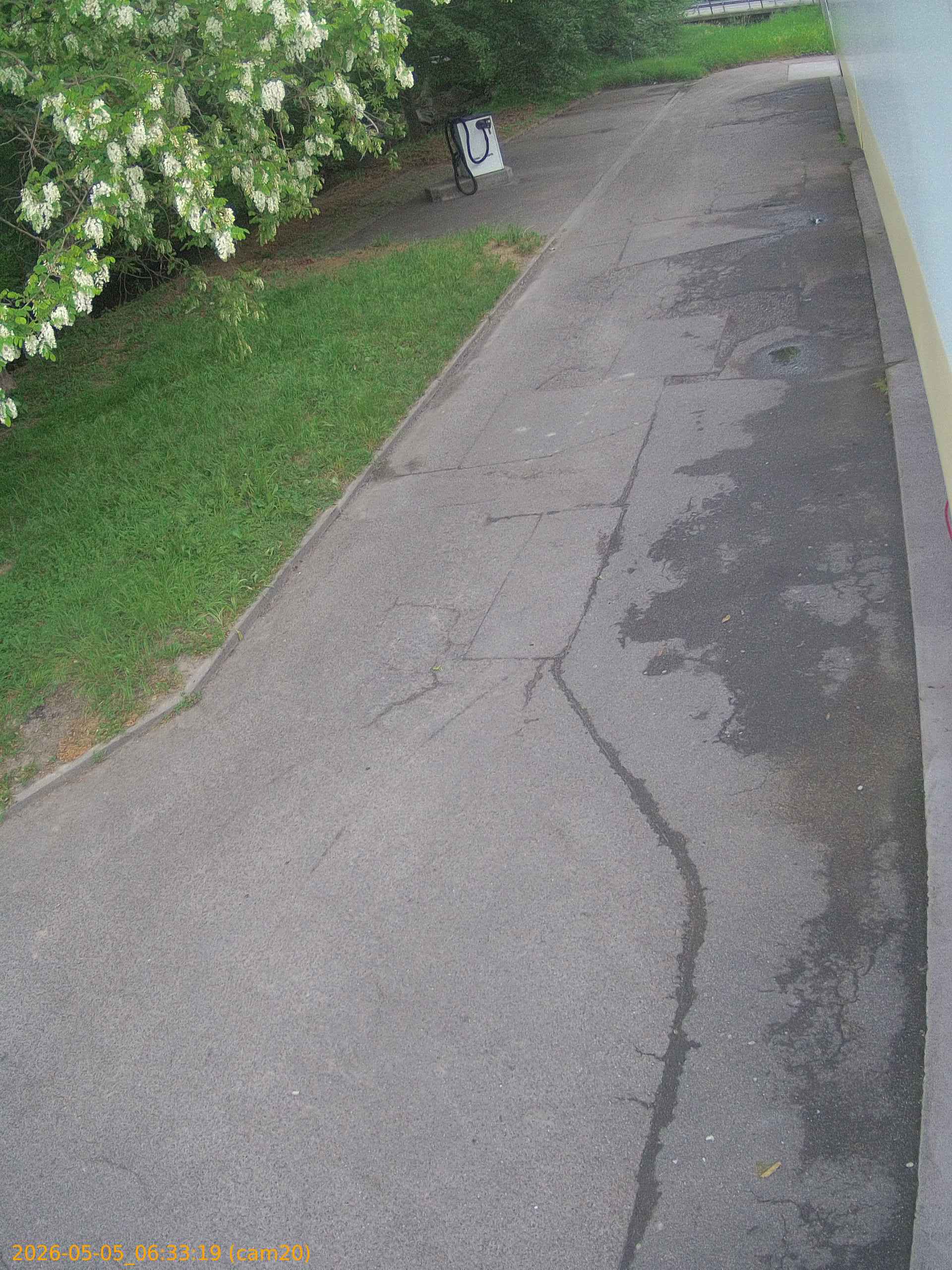 thumbnail_20260505063319